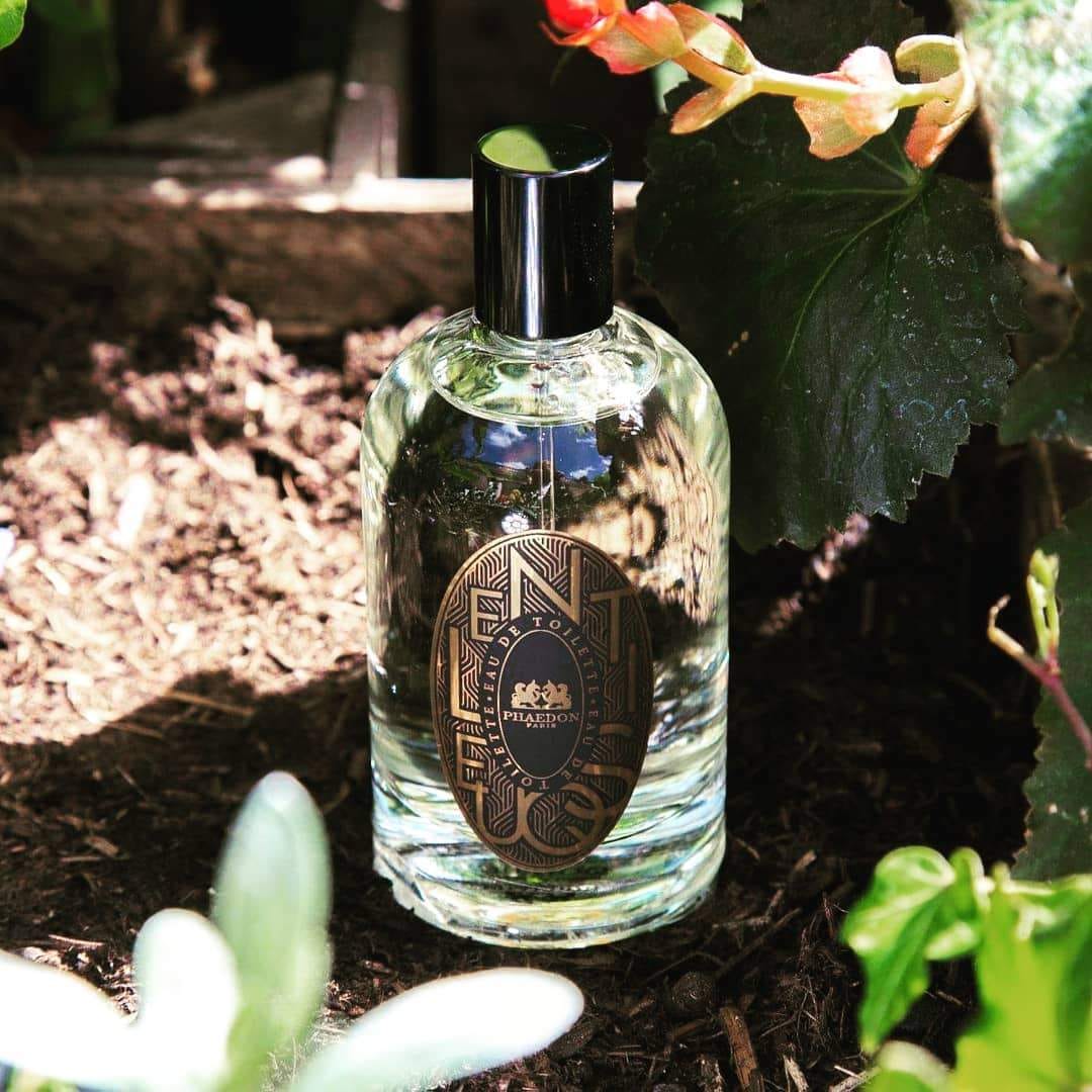 Phaedon Paris Lentisque (Discontinued)