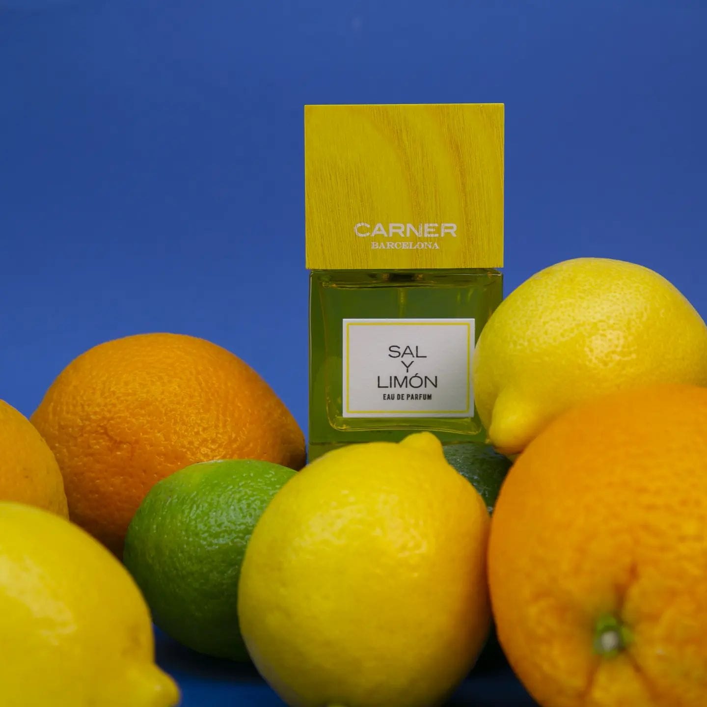 Carner Sal y Limón