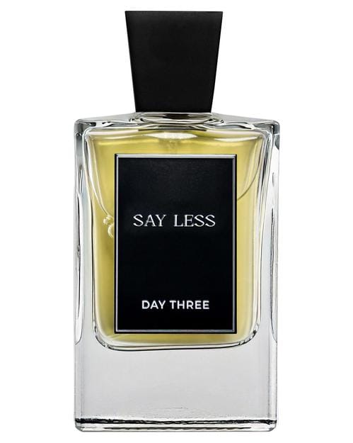 Day Three Say Less