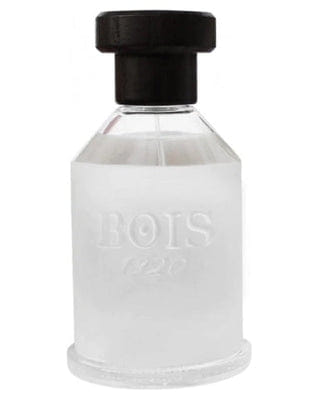 Bois 1920 Ancora Amore