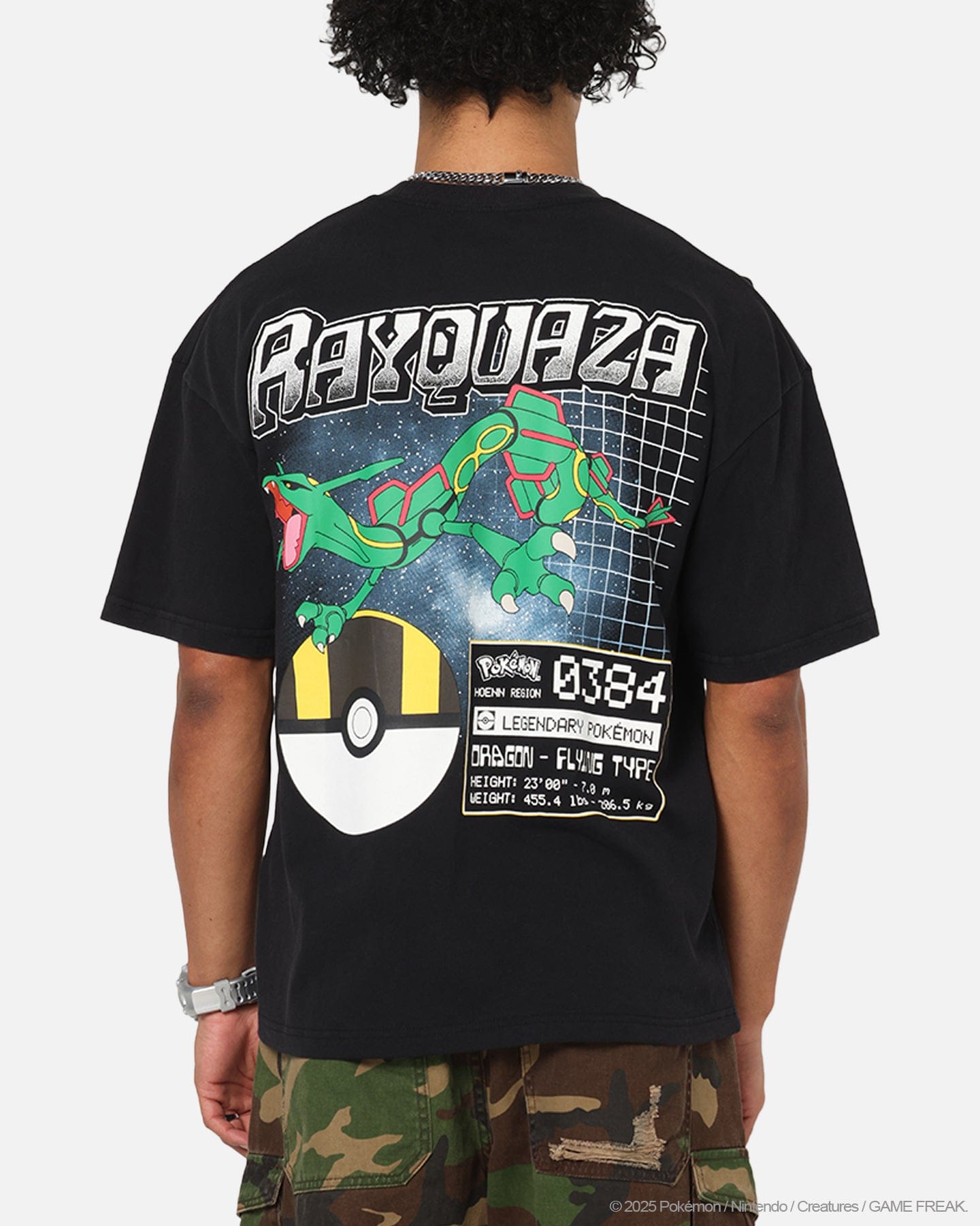 73studio The Pokémon Collection By 73Studio Rayquaza Vintage T - Shirt Off Black
