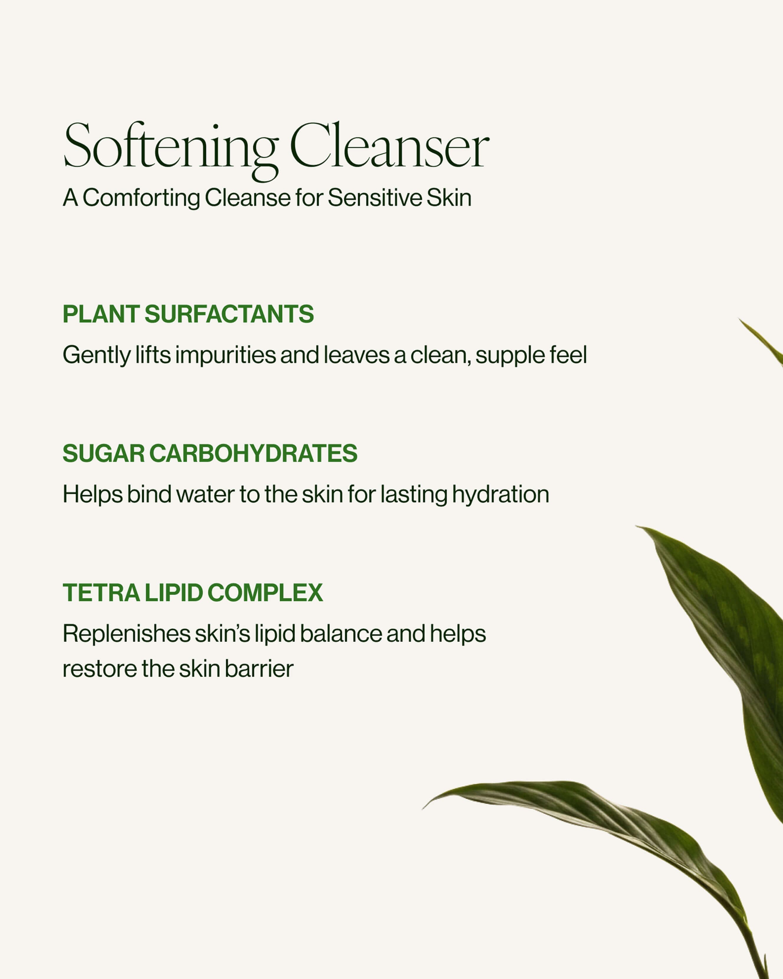 Tata Harper SUPERKIND Softening Cleanser