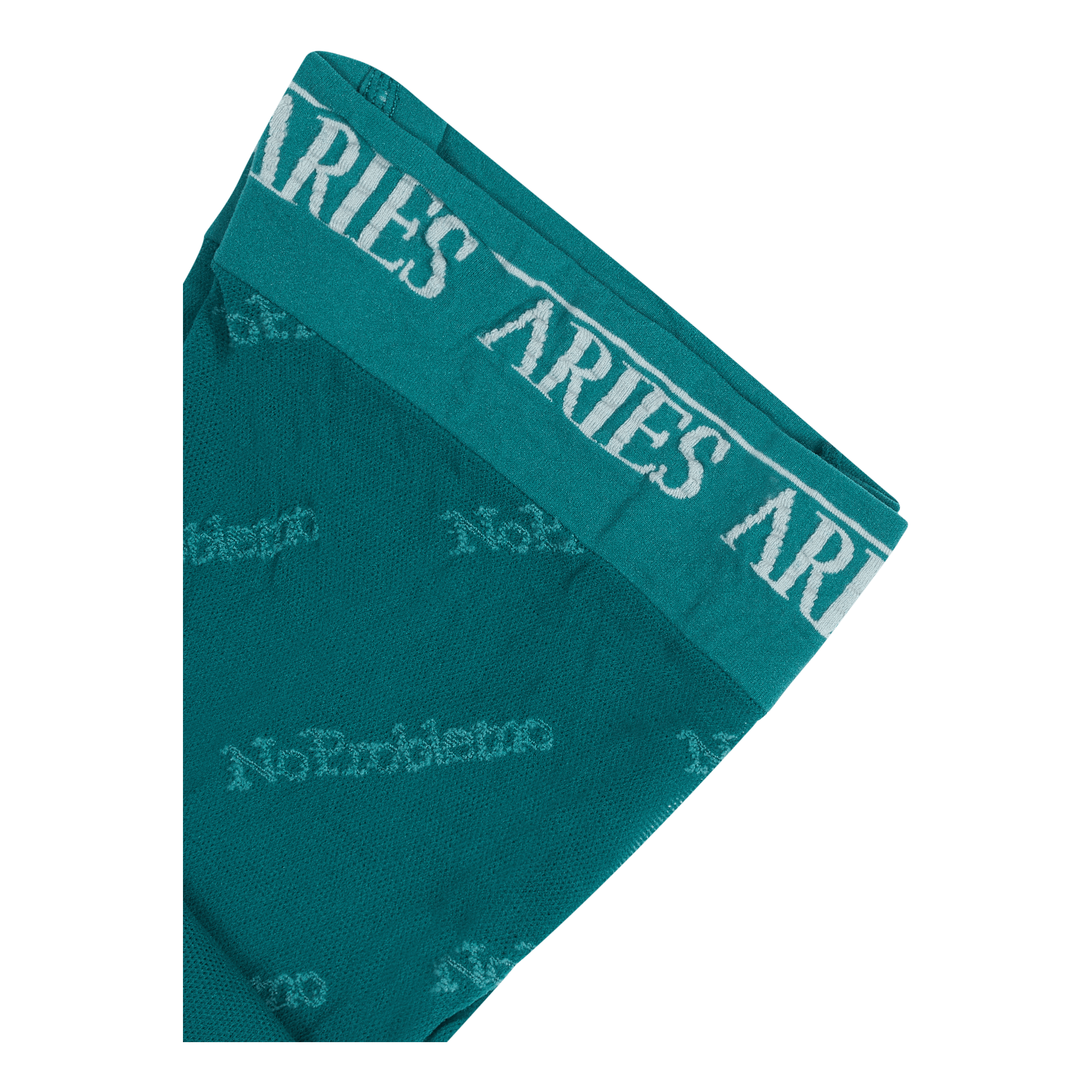 Aries No Problemo Logo Tights Bottle Green