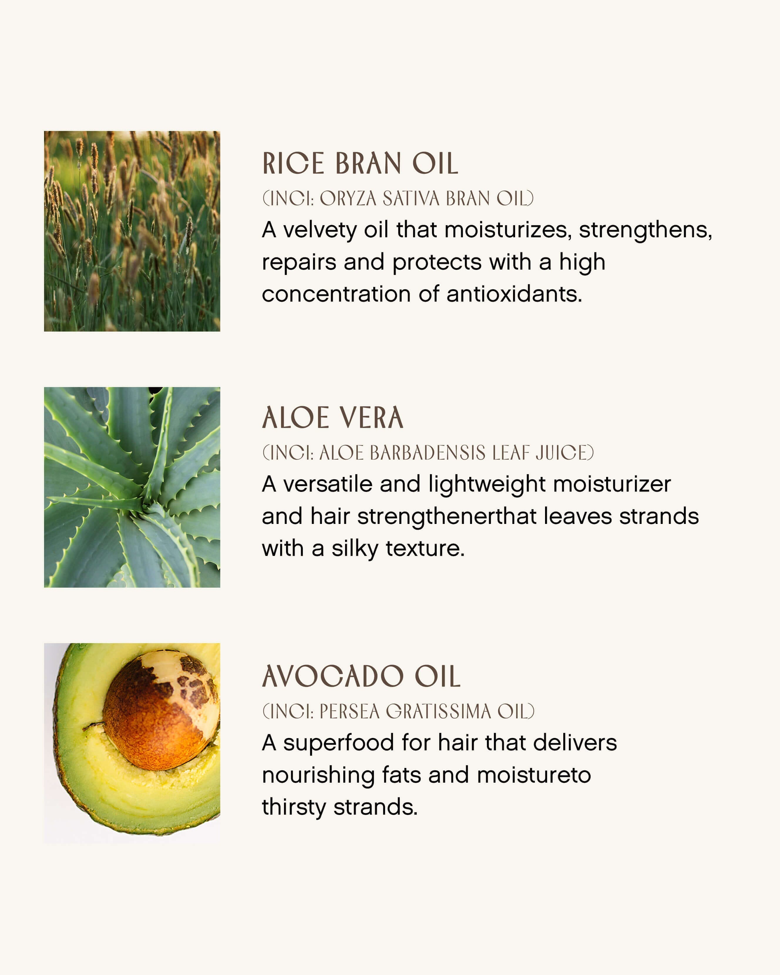 Innersense Organic Beauty Pure Inspiration Daily Conditioner