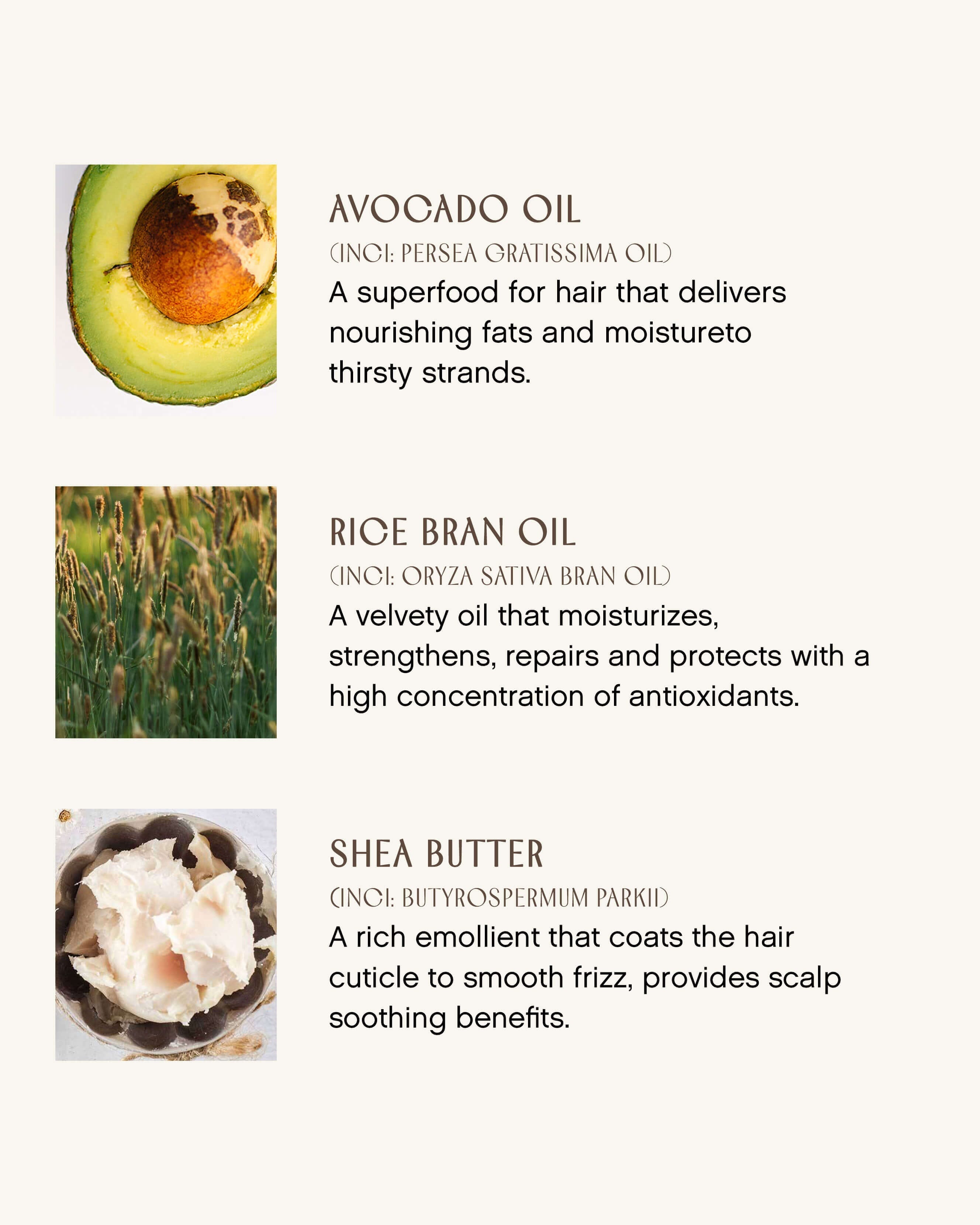 Innersense Organic Beauty Color Radiance Daily Conditioner