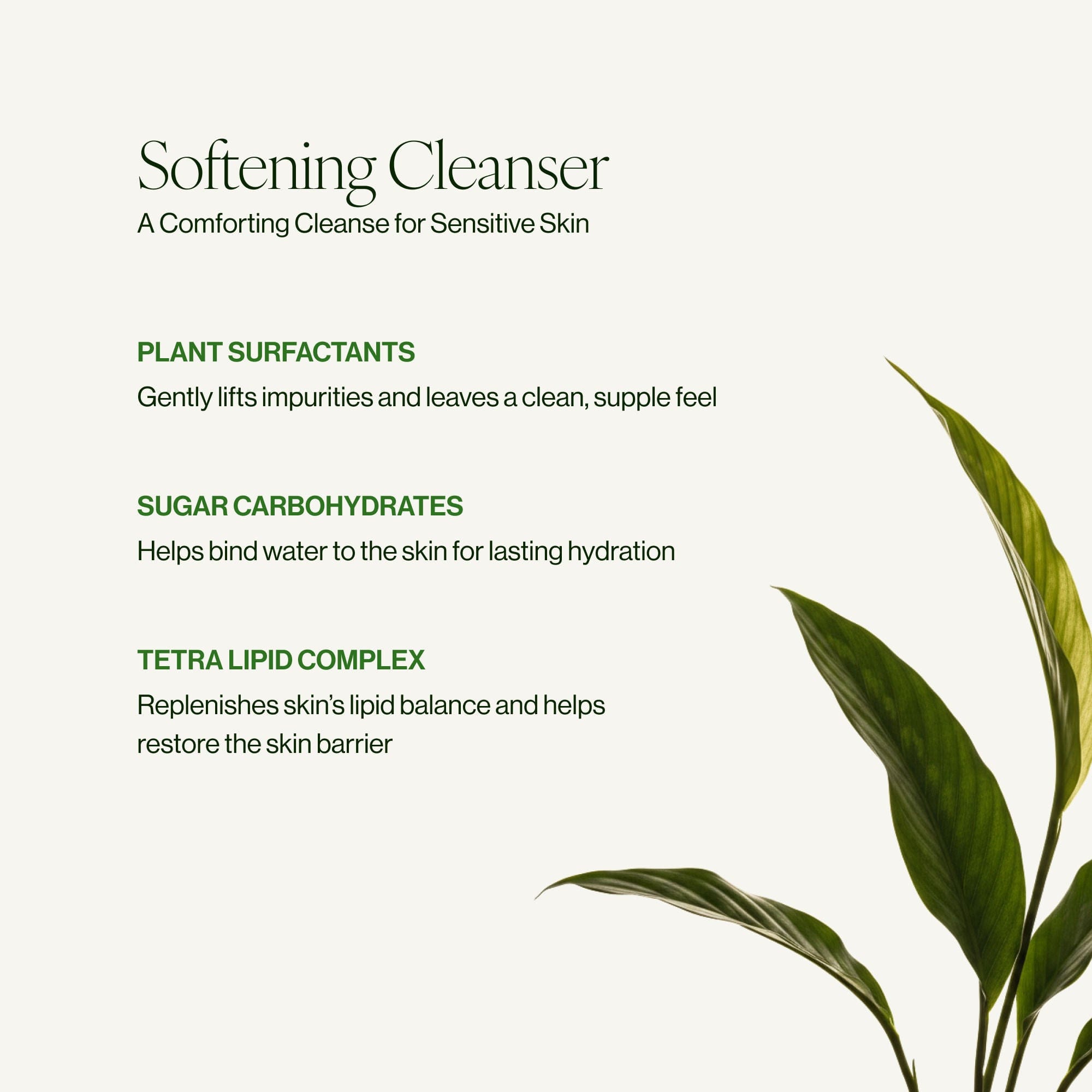 Tata Harper Softening Cleanser