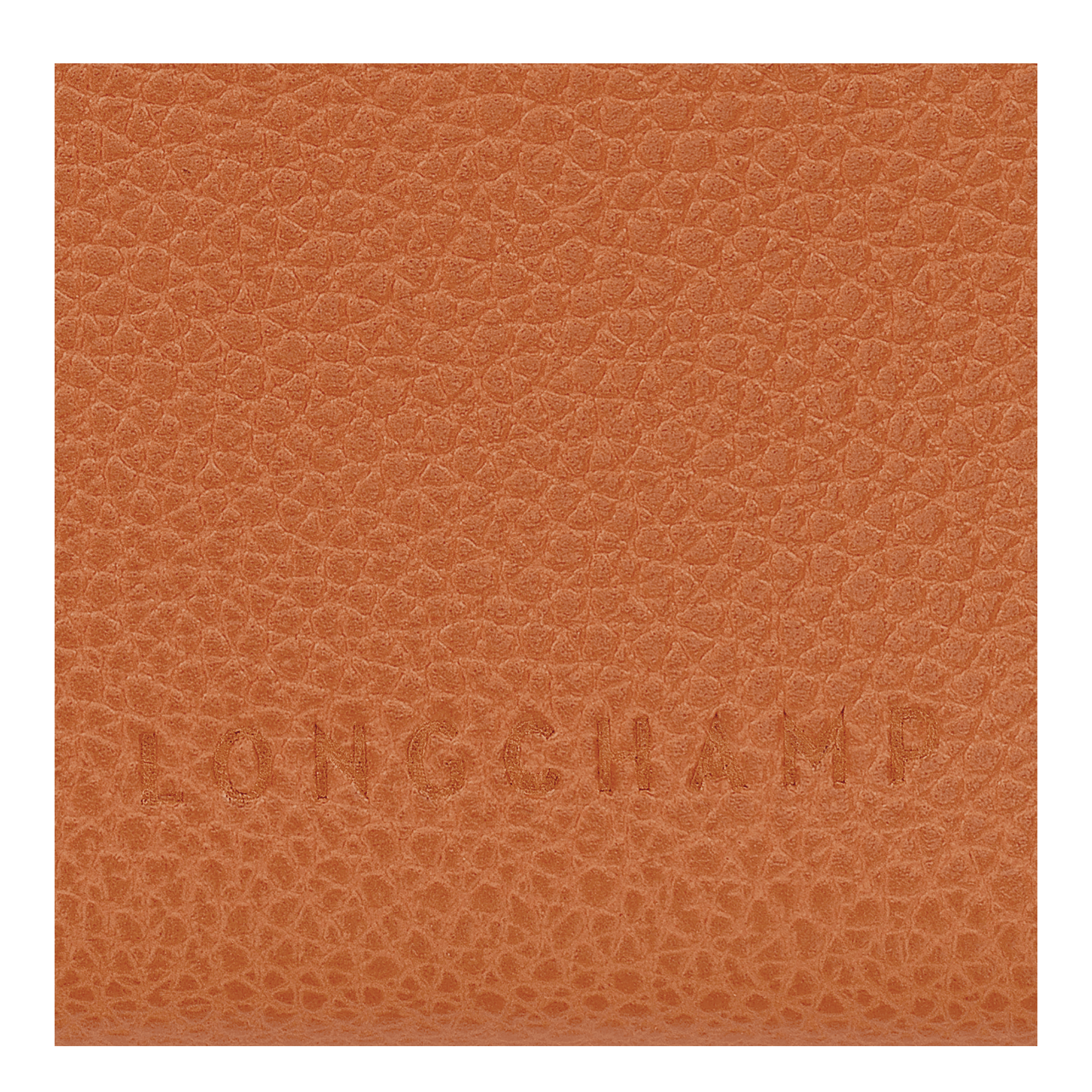 Long Champ Longchamp Le Foulonné Compact wallet Amber