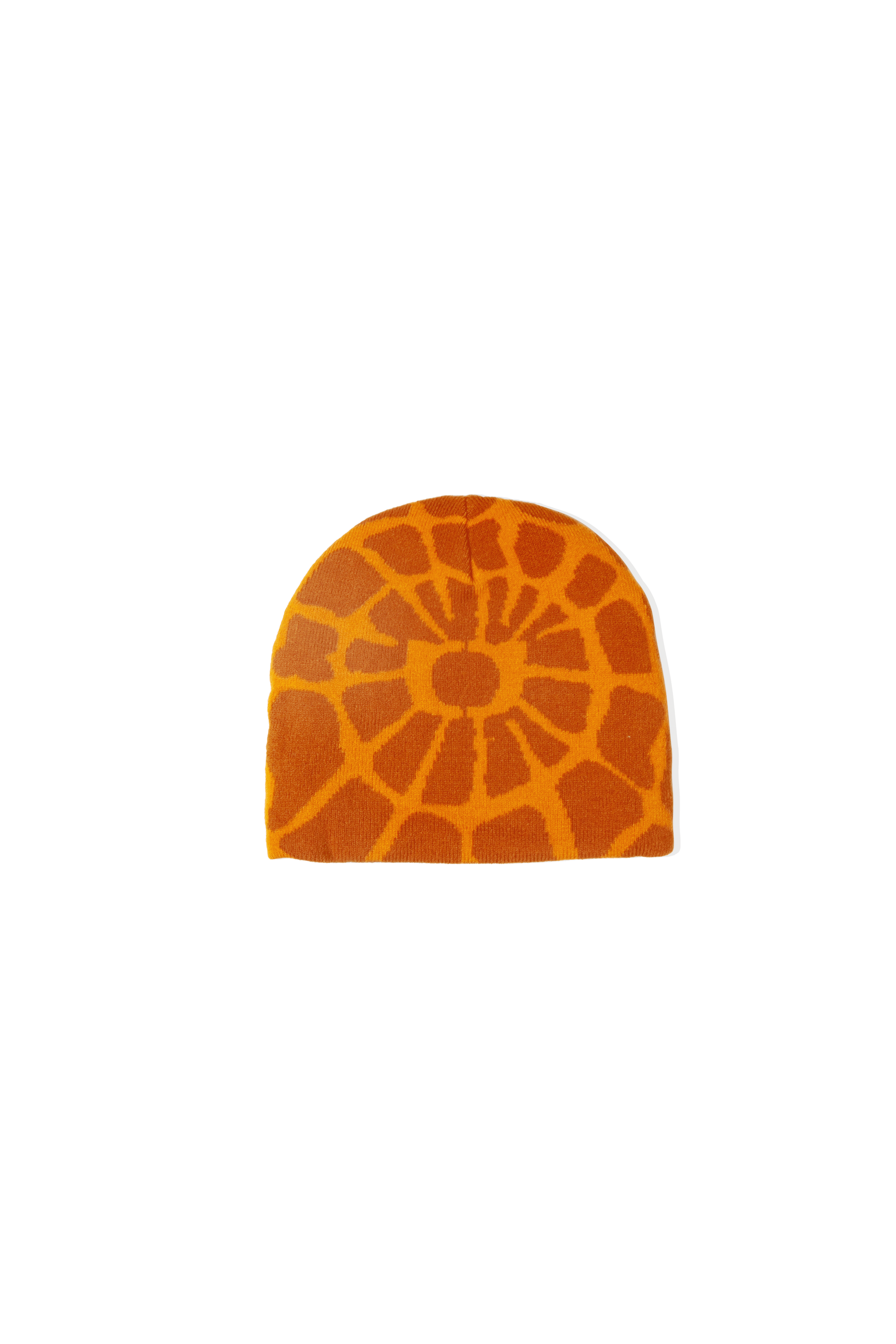 One Block Down Spider Link Beanie