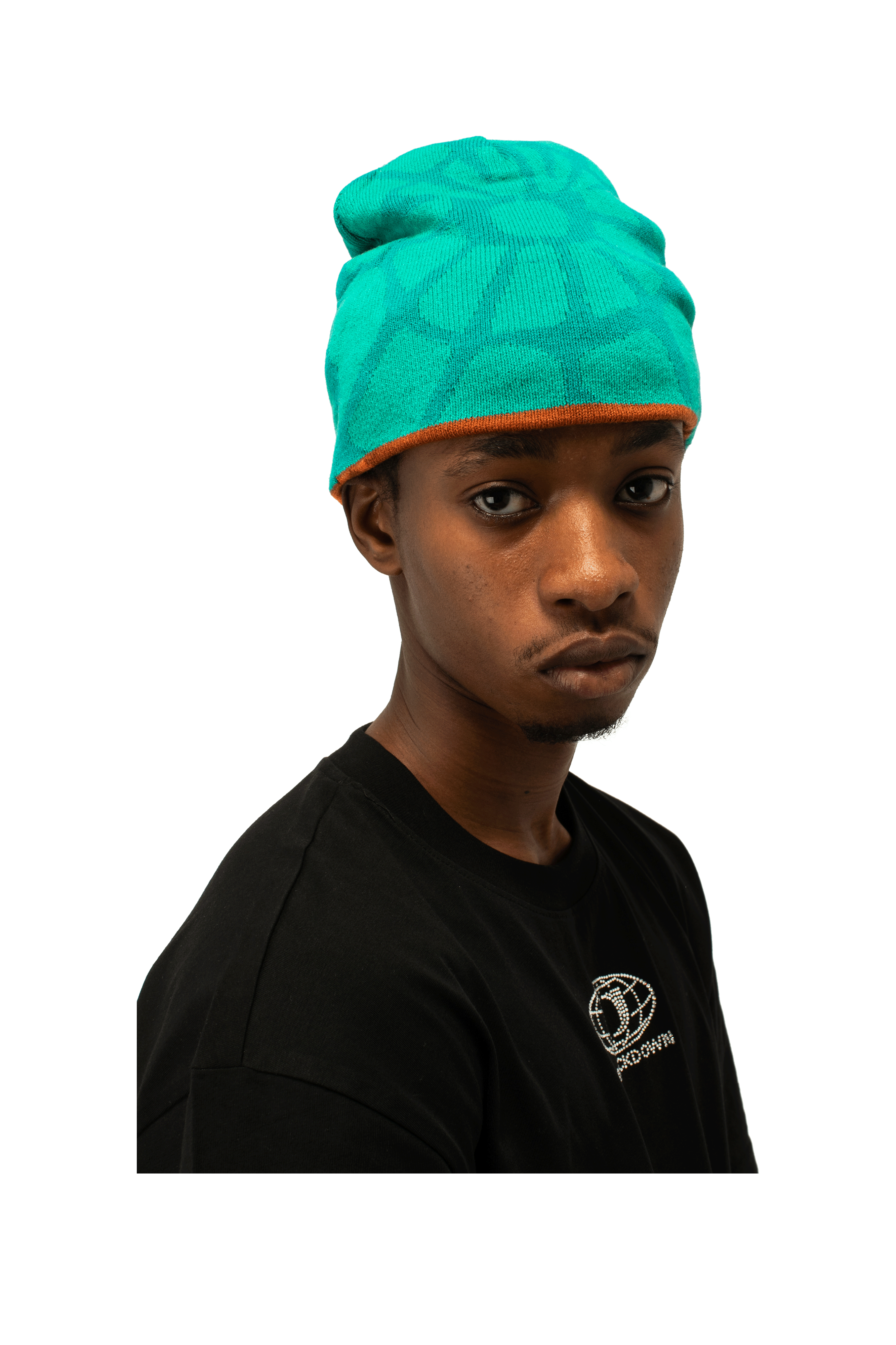 One Block Down Spider Link Beanie