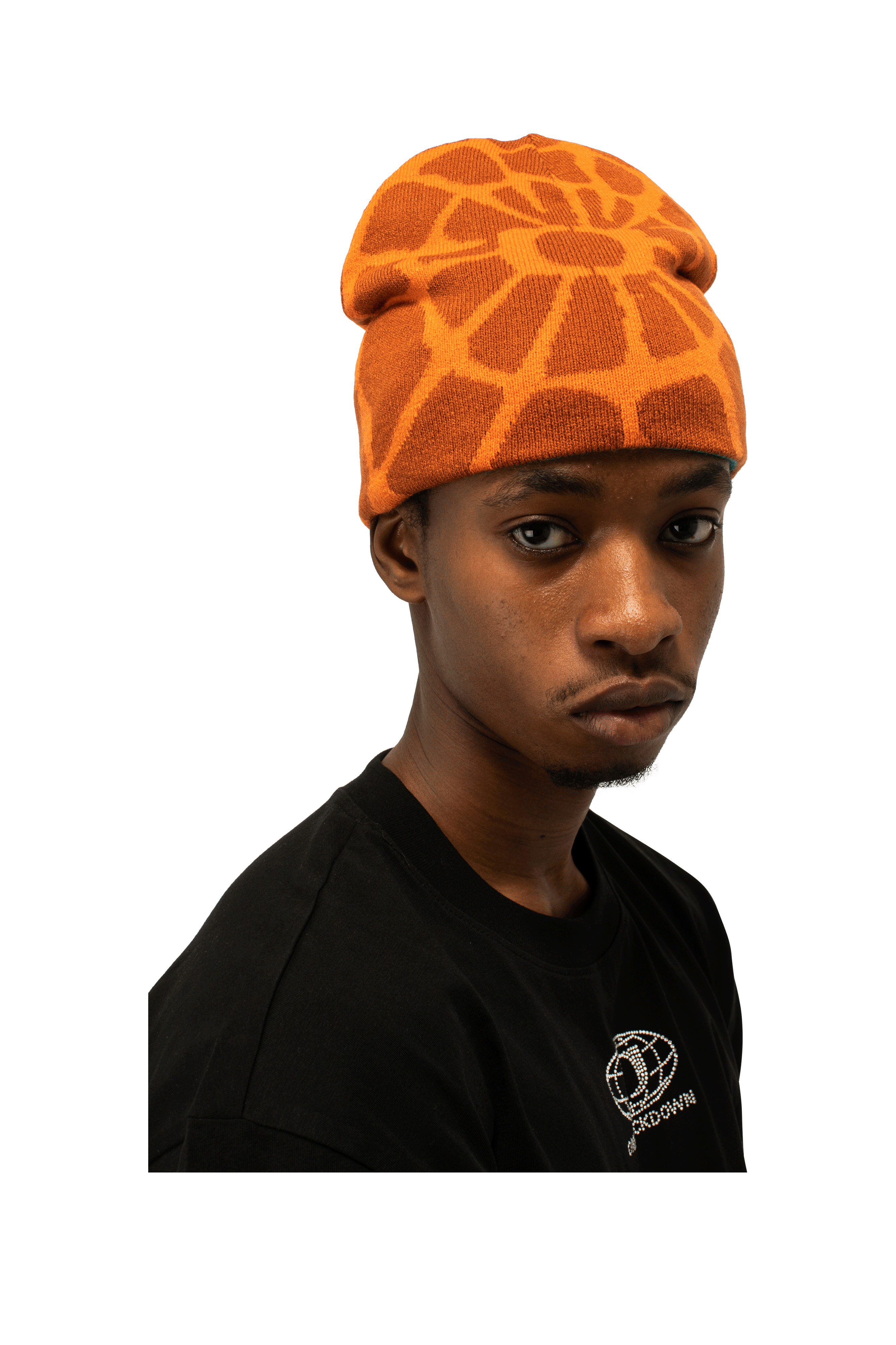 One Block Down Spider Link Beanie