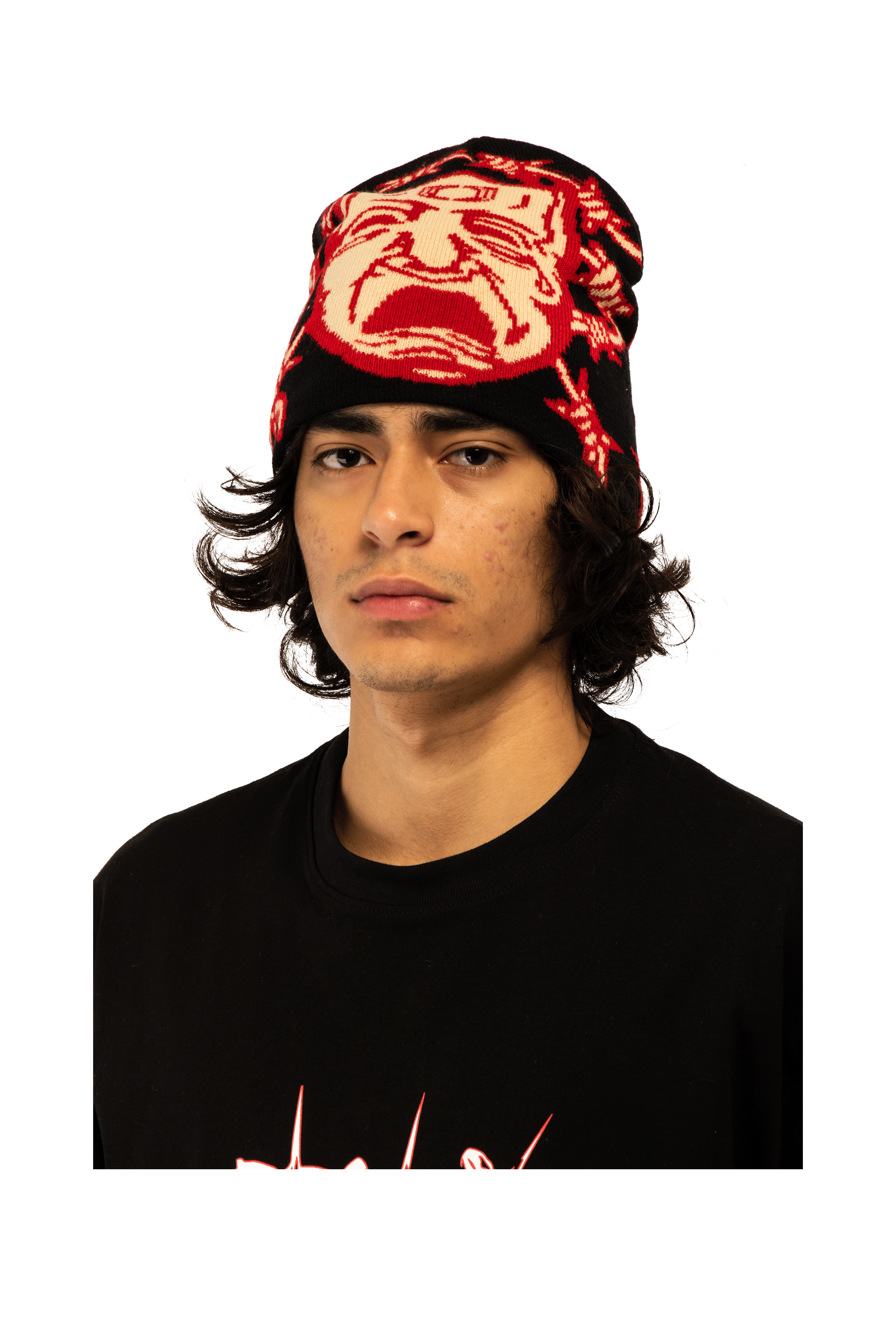 Two - Face Beanie