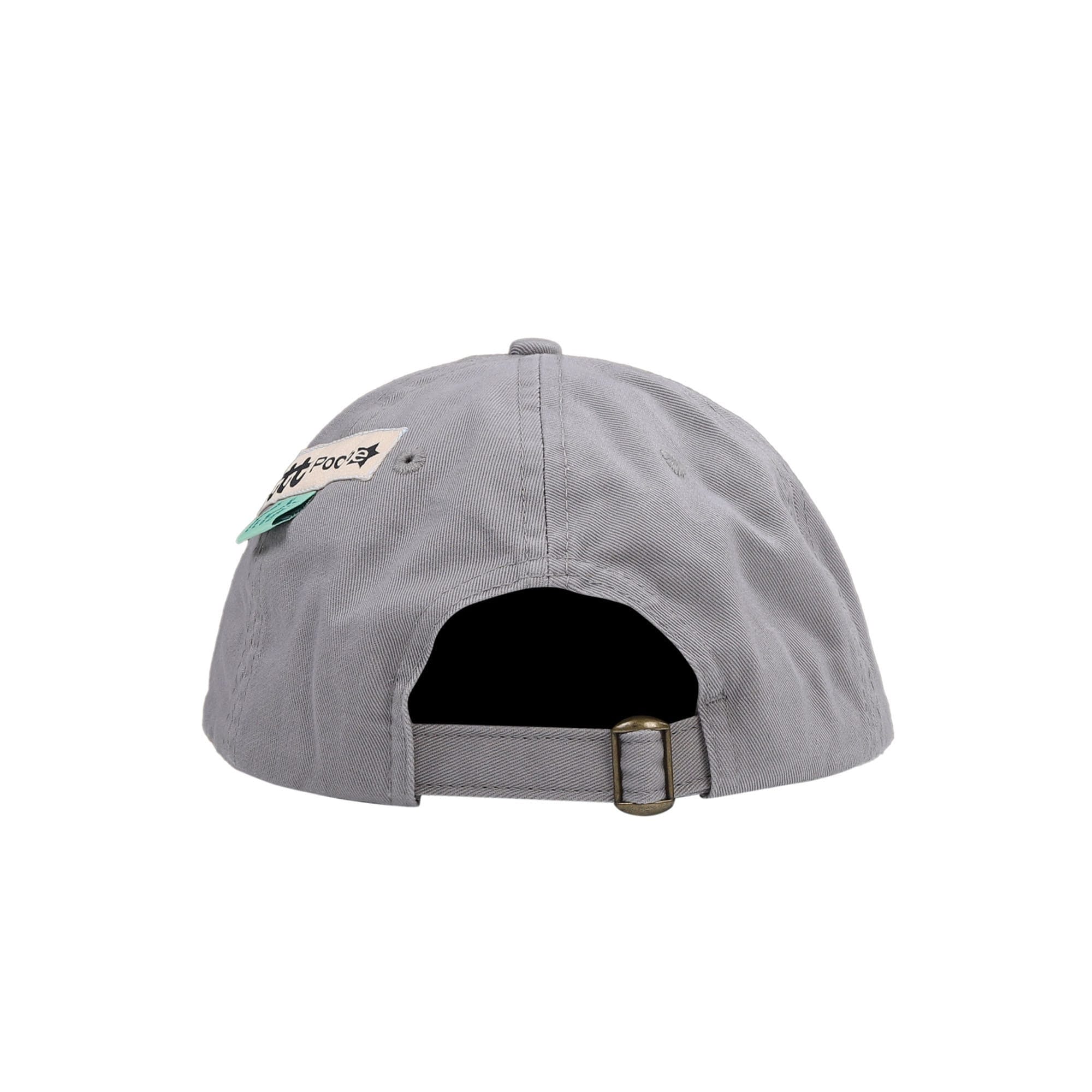 Lttt Kiwi Cap - Grey