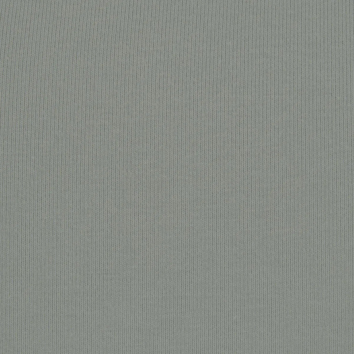 COTTON JERSEY Skims Cotton Jersey Long Sleeve T - Shirt Mineral
