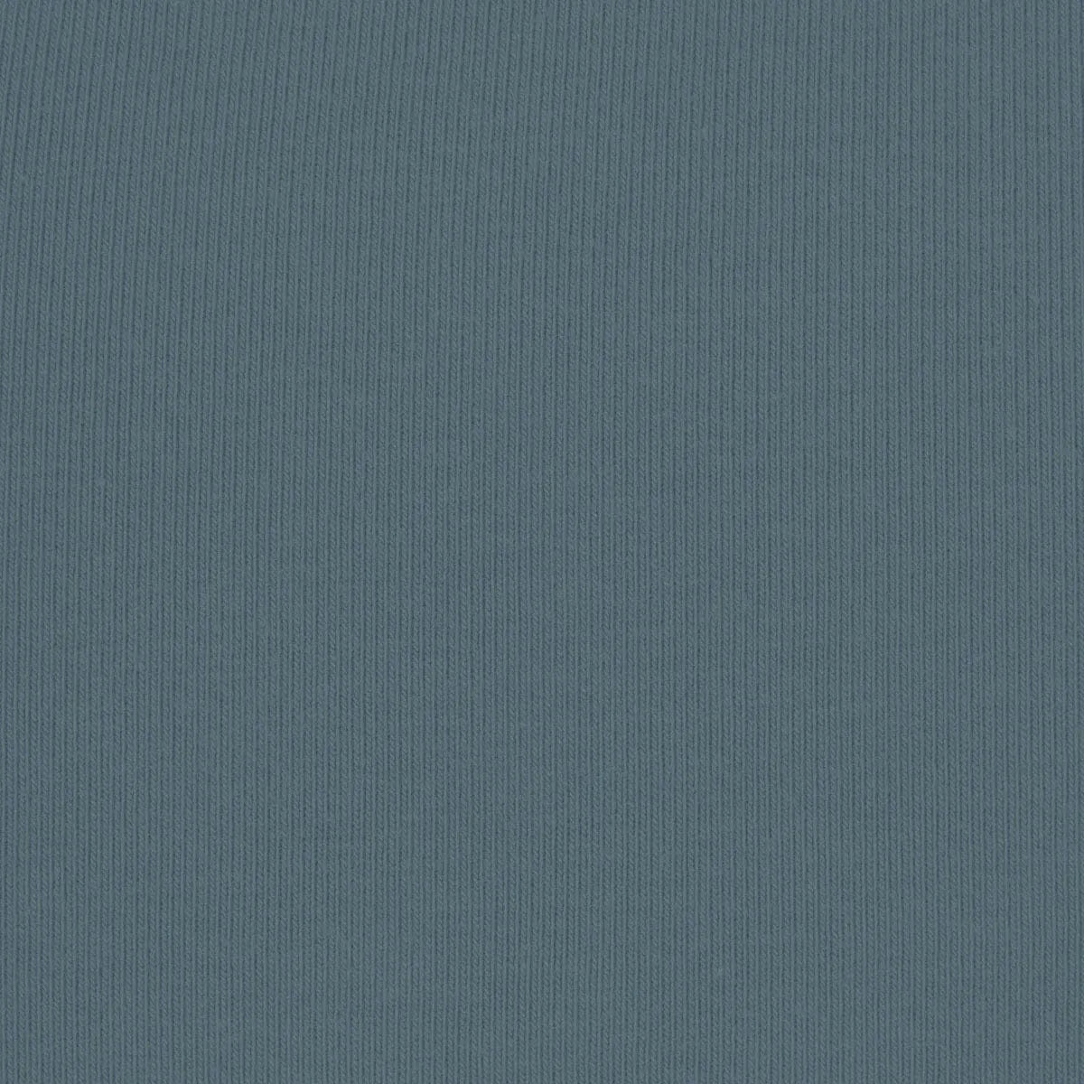 COTTON JERSEY Skims Cotton Jersey Long Sleeve T - Shirt Kyanite