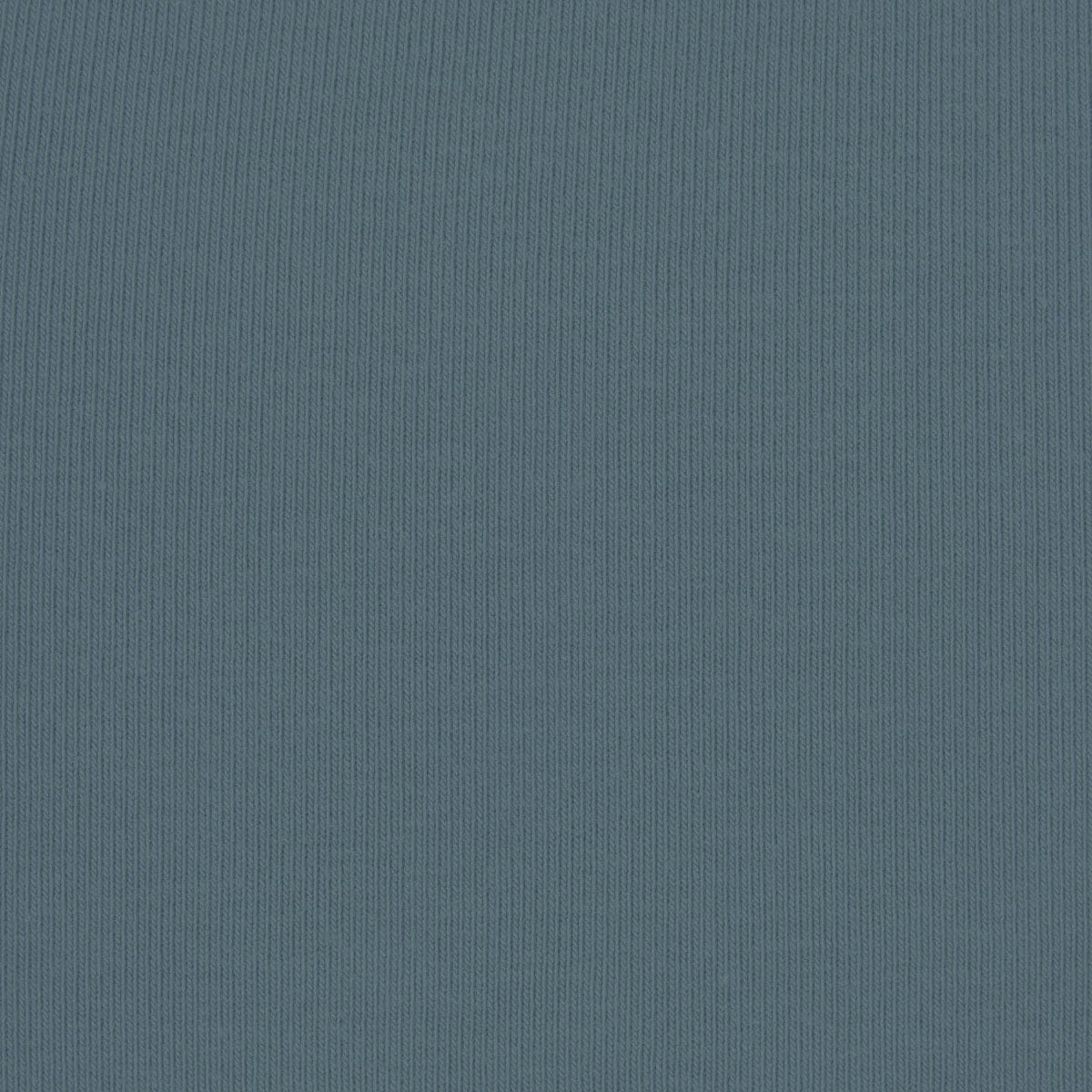 COTTON JERSEY Skims Cotton Jersey T - shirt Kyanite