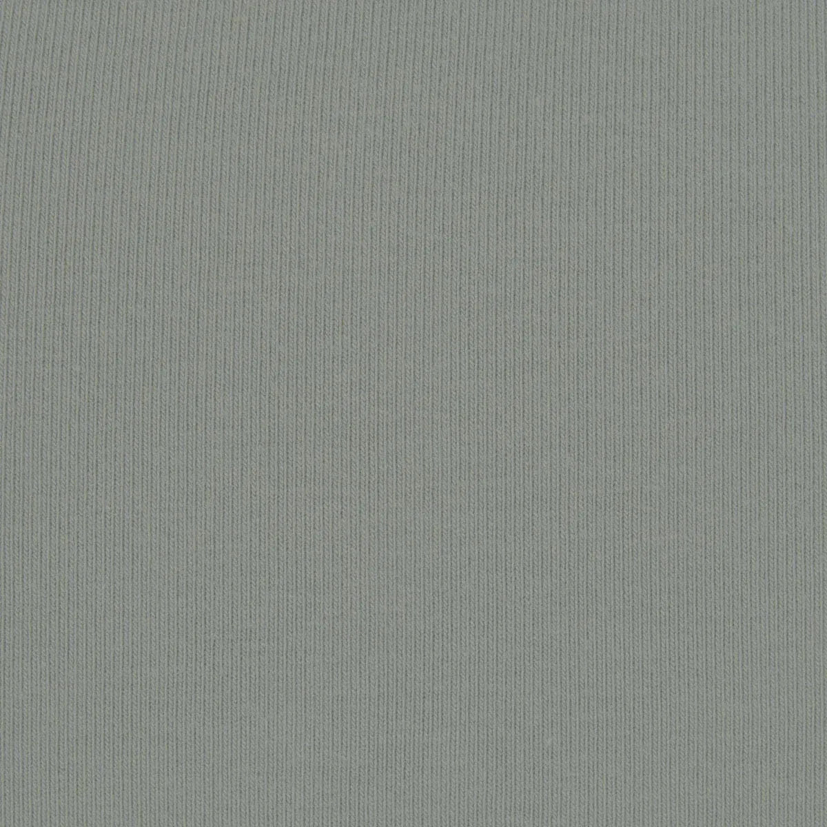 COTTON JERSEY Skims Cotton Jersey T - shirt Mineral