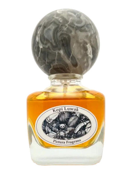 Pictura Fragrans Kopi Luwak