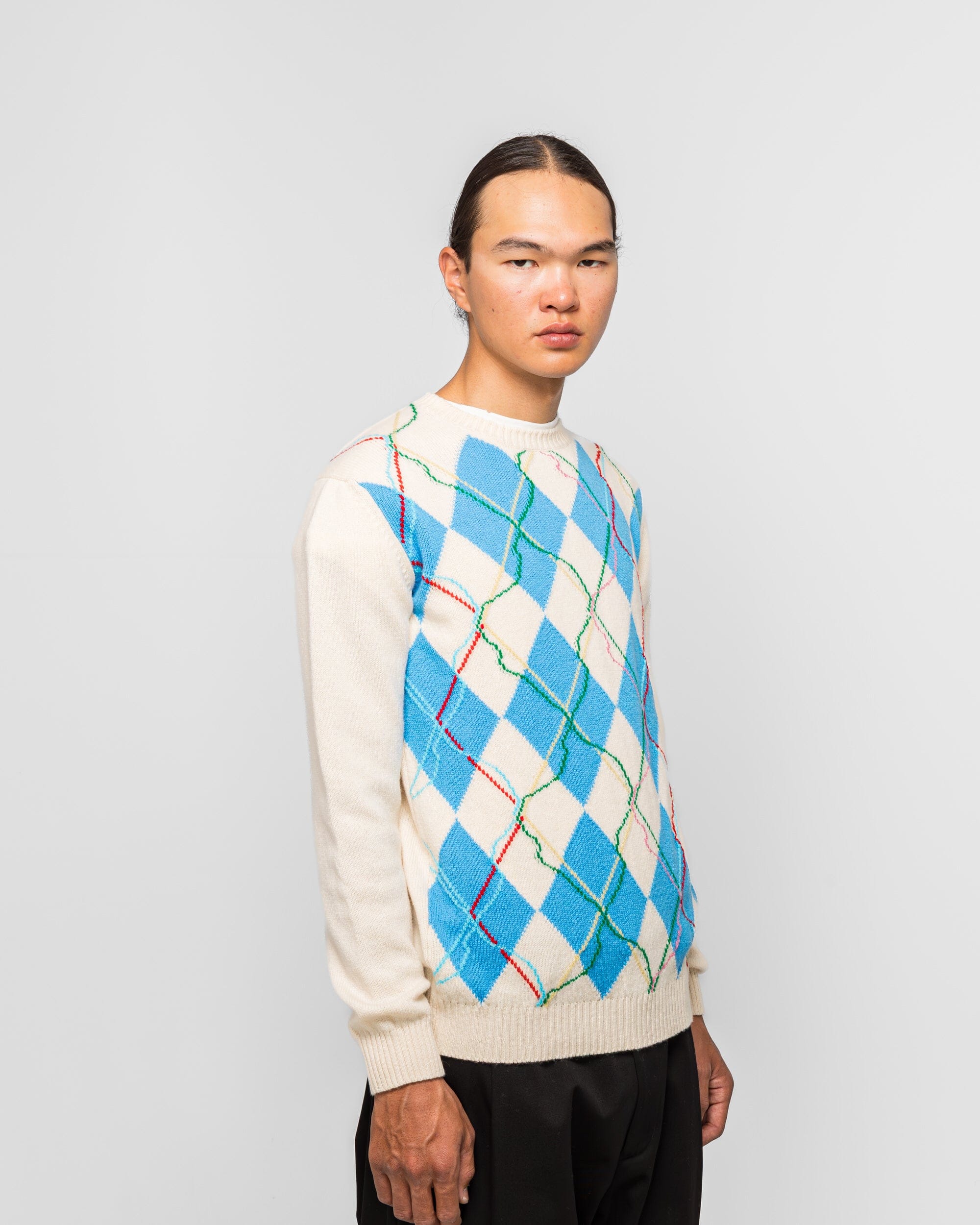 Dudley Coppice Wild Garden Argyle Knitted Jumper - White