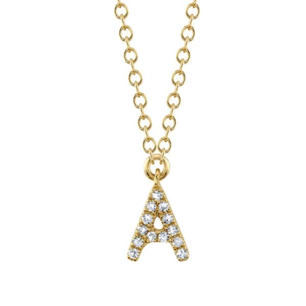 Shy Creation Moyer Collection 14K Gold 0.04ctw Diamond Initial Necklace - SC55007904