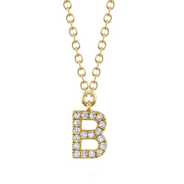 Shy Creation Moyer Collection 14K Gold 0.04ctw Diamond Initial Necklace - SC55007904