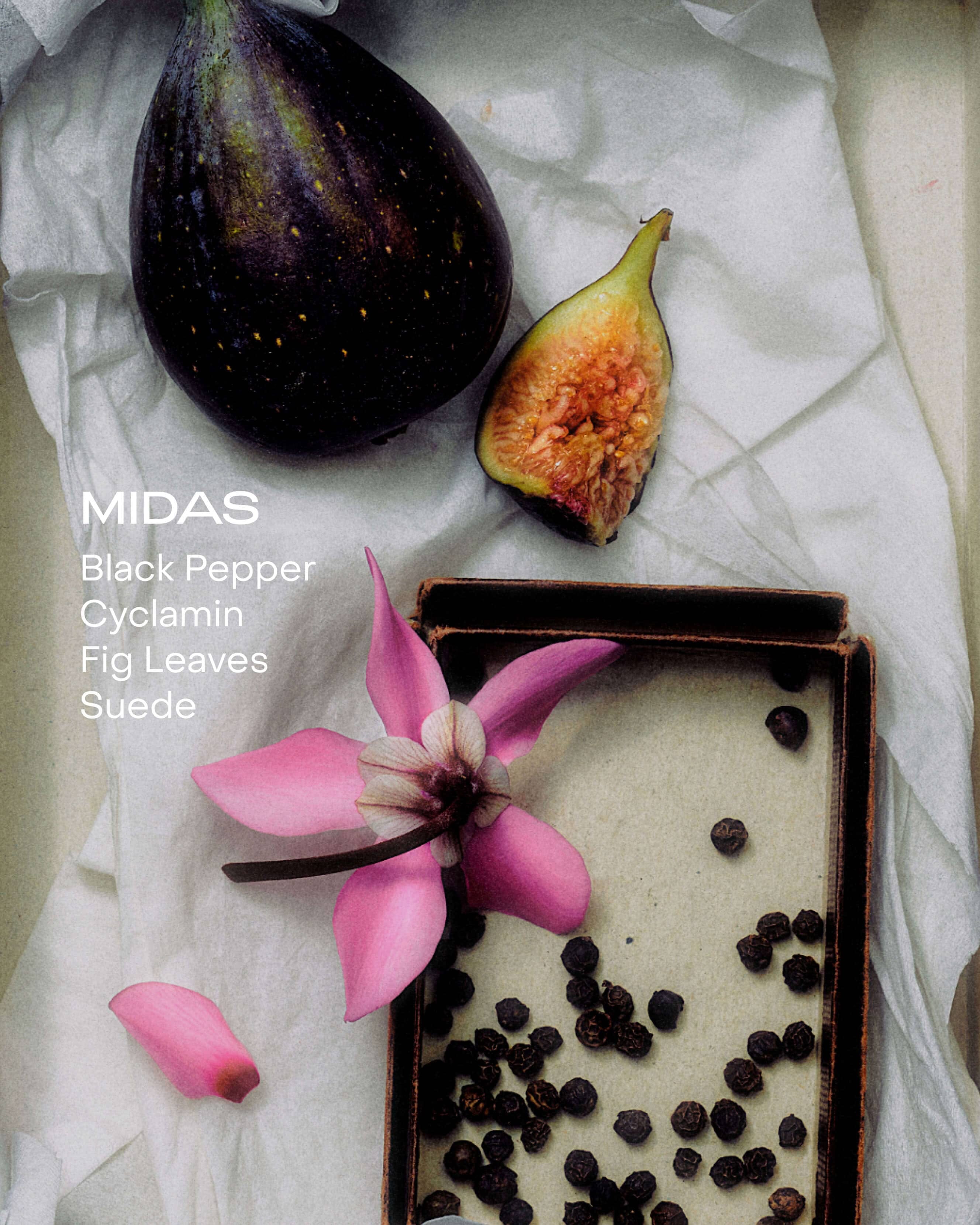 SIDIA MIDAS - The Hand Serum