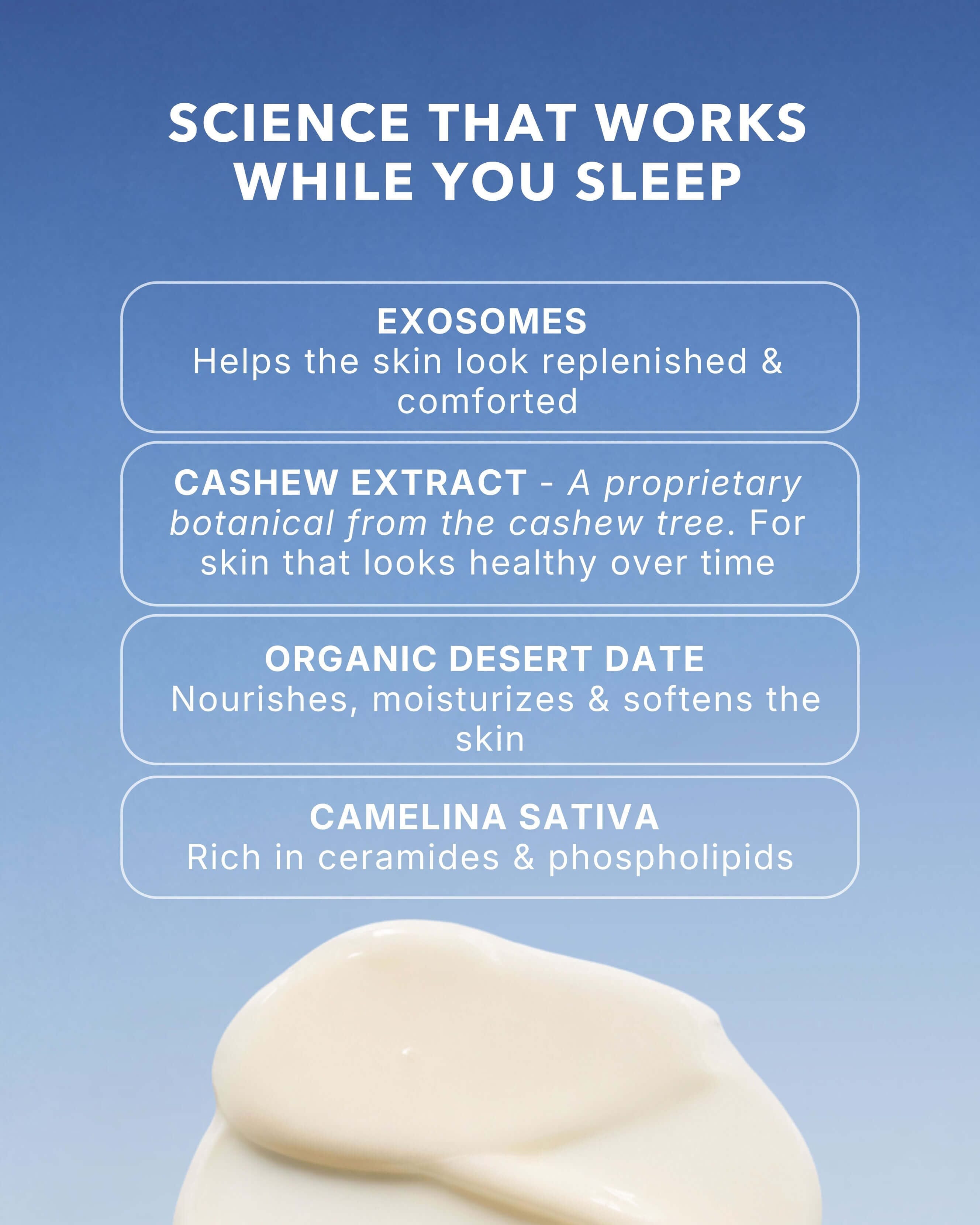 Skin Diligent Exosome Advanced Night Cream