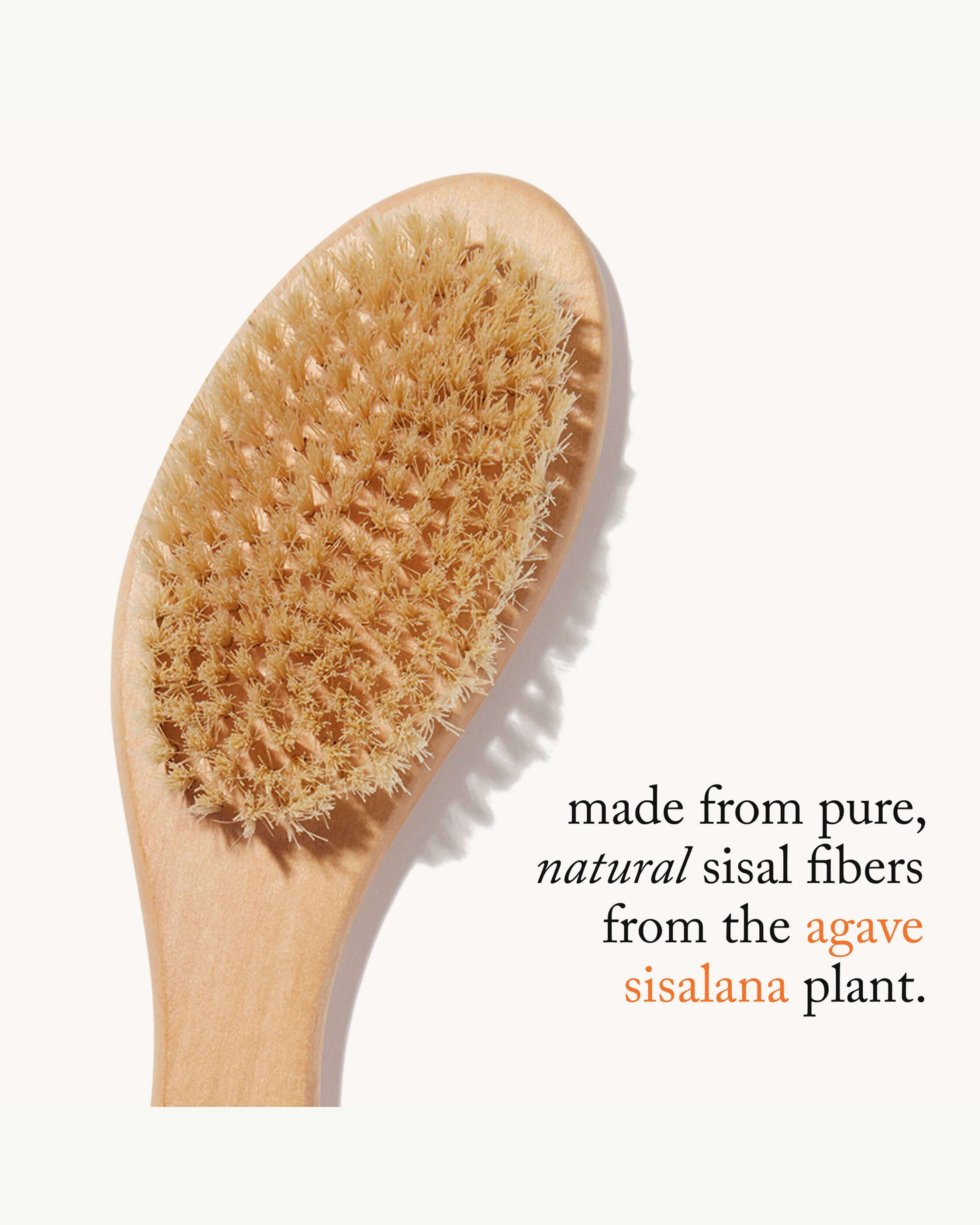 Goop Beauty G.Tox Ultimate Dry Brush
