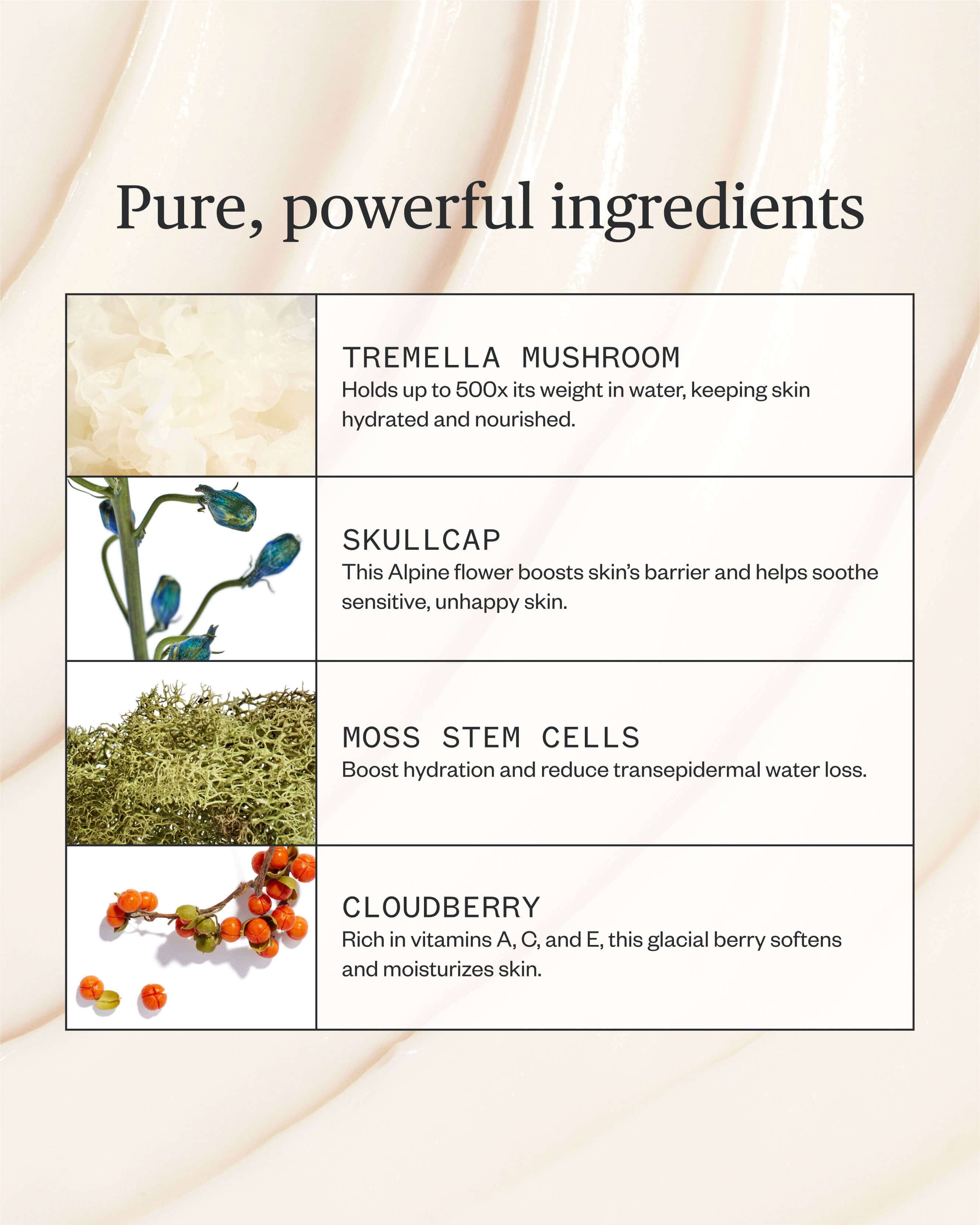 Ursa Major Alpine Rich Cream Barrier Moisturizer for Dry & Sensitive Skin