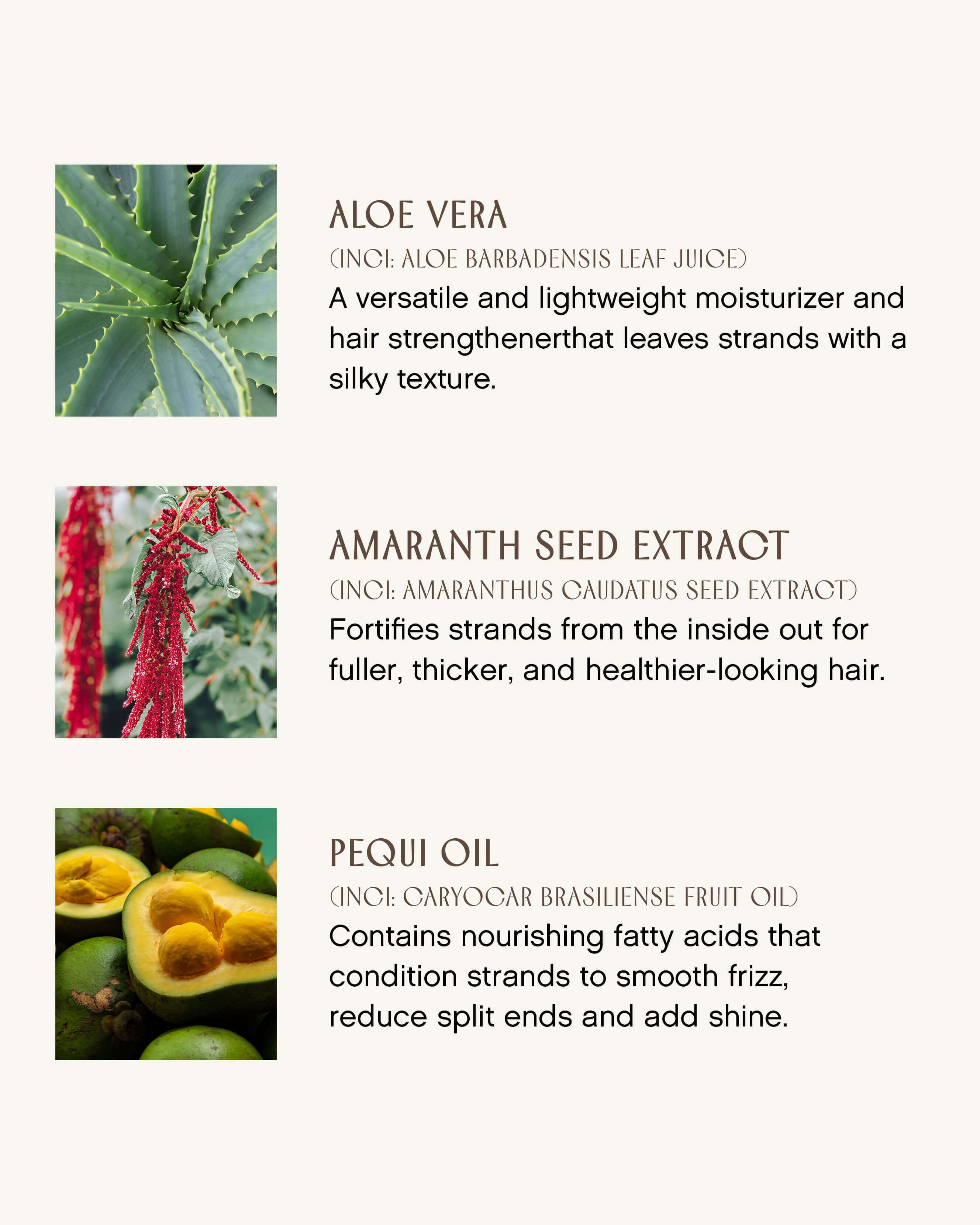 Innersense Organic Beauty I Create Definition Styling Foam