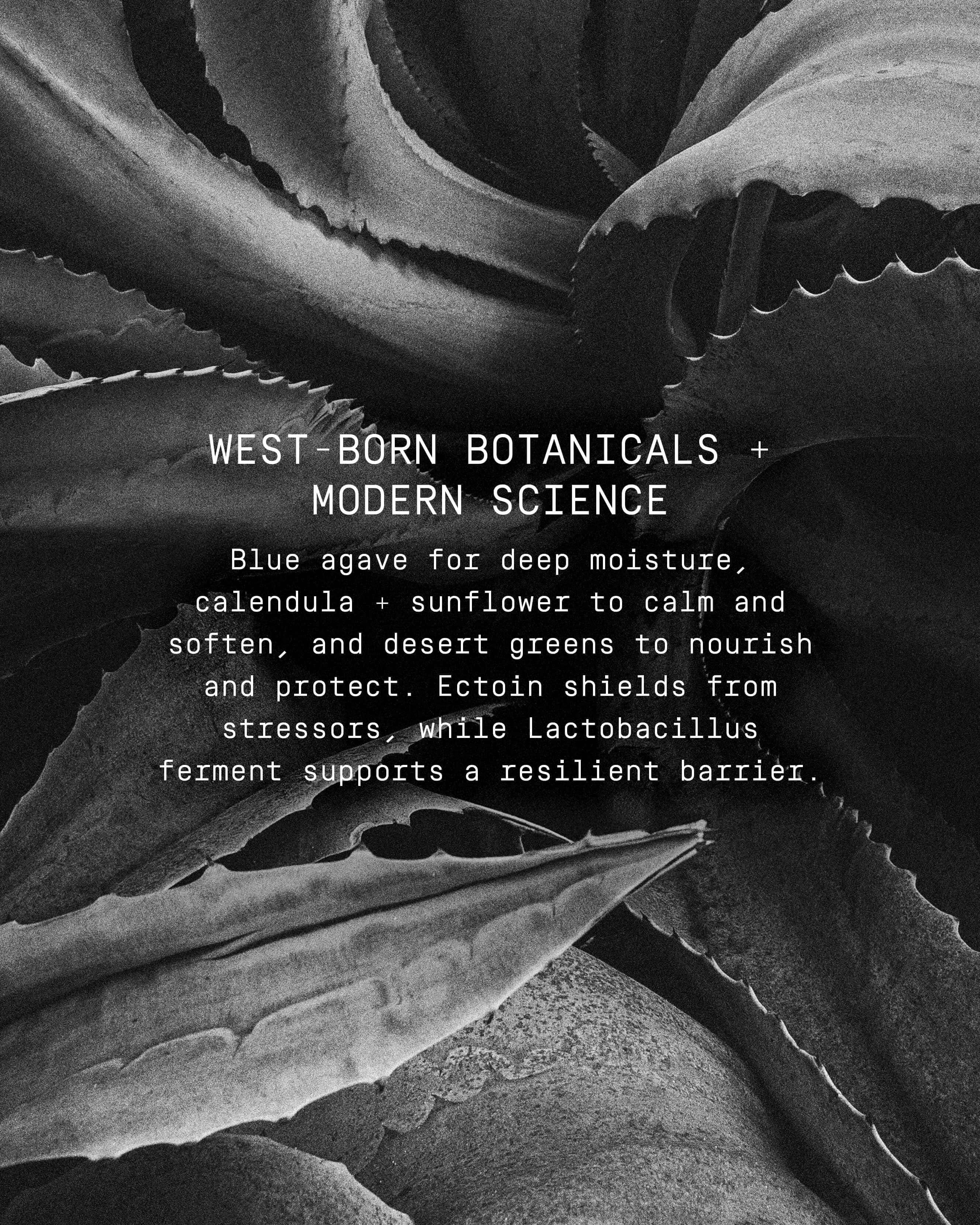 Lona Beauty Babe Balm Agave Antioxidant Lip + Eye Solid Serum