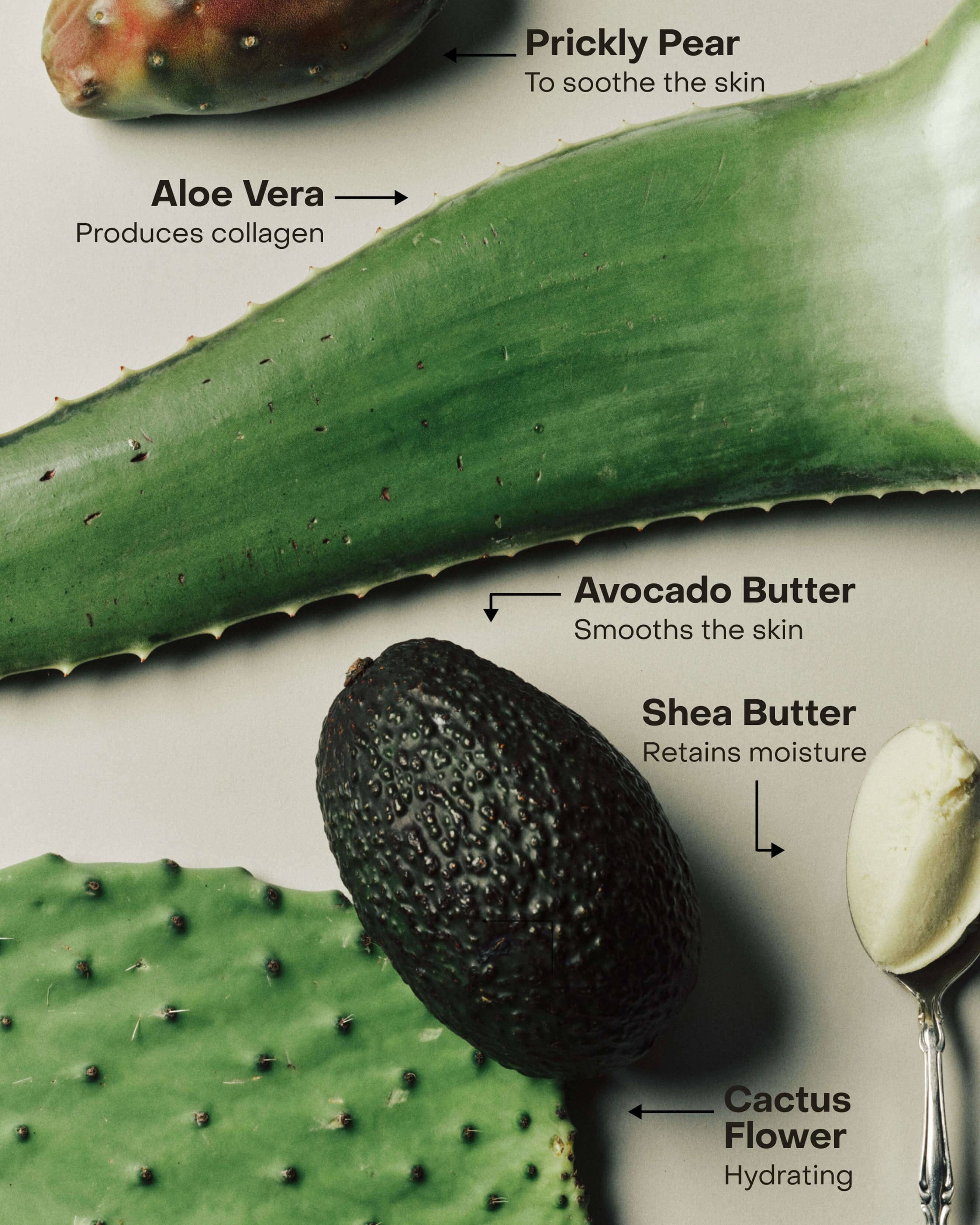 SIDIA SOAKED: The Hand Exfoliant