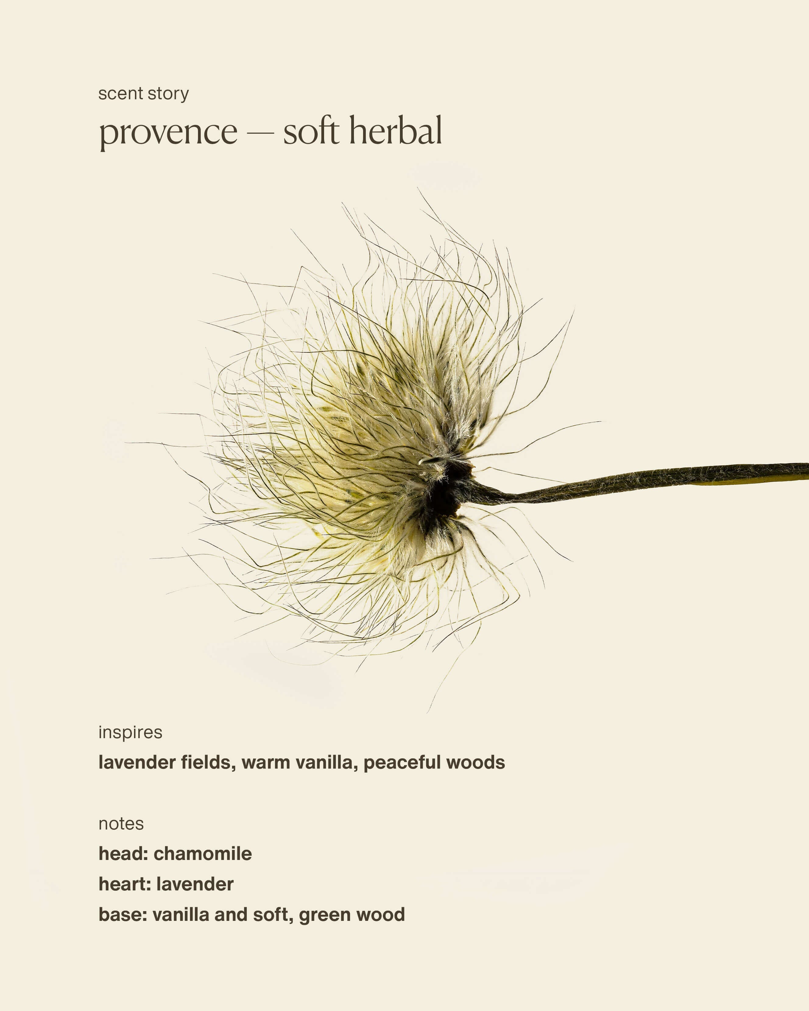 Evolvetogether provence - hydrating hand cream