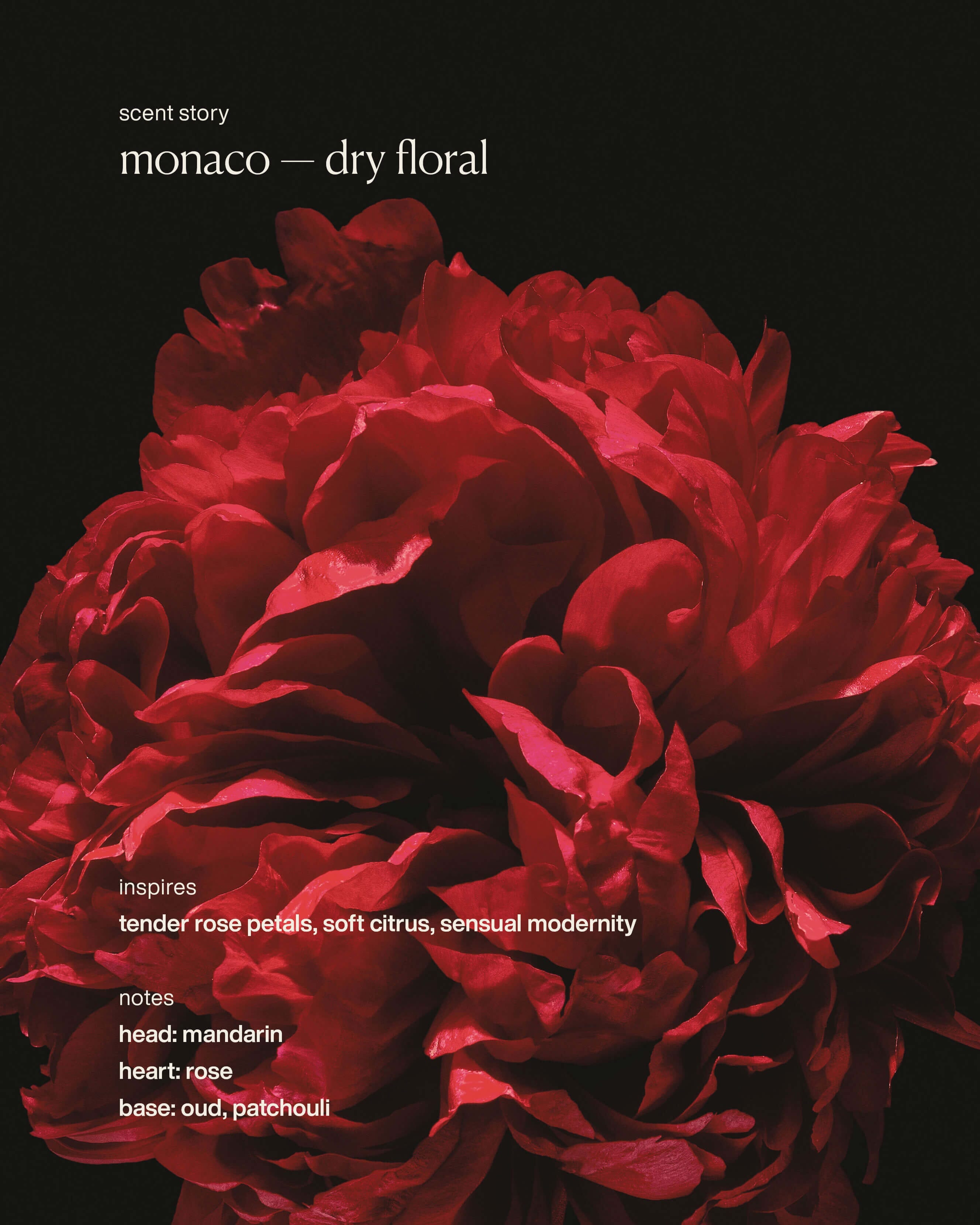 Evolvetogether monaco - hydrating hand cream