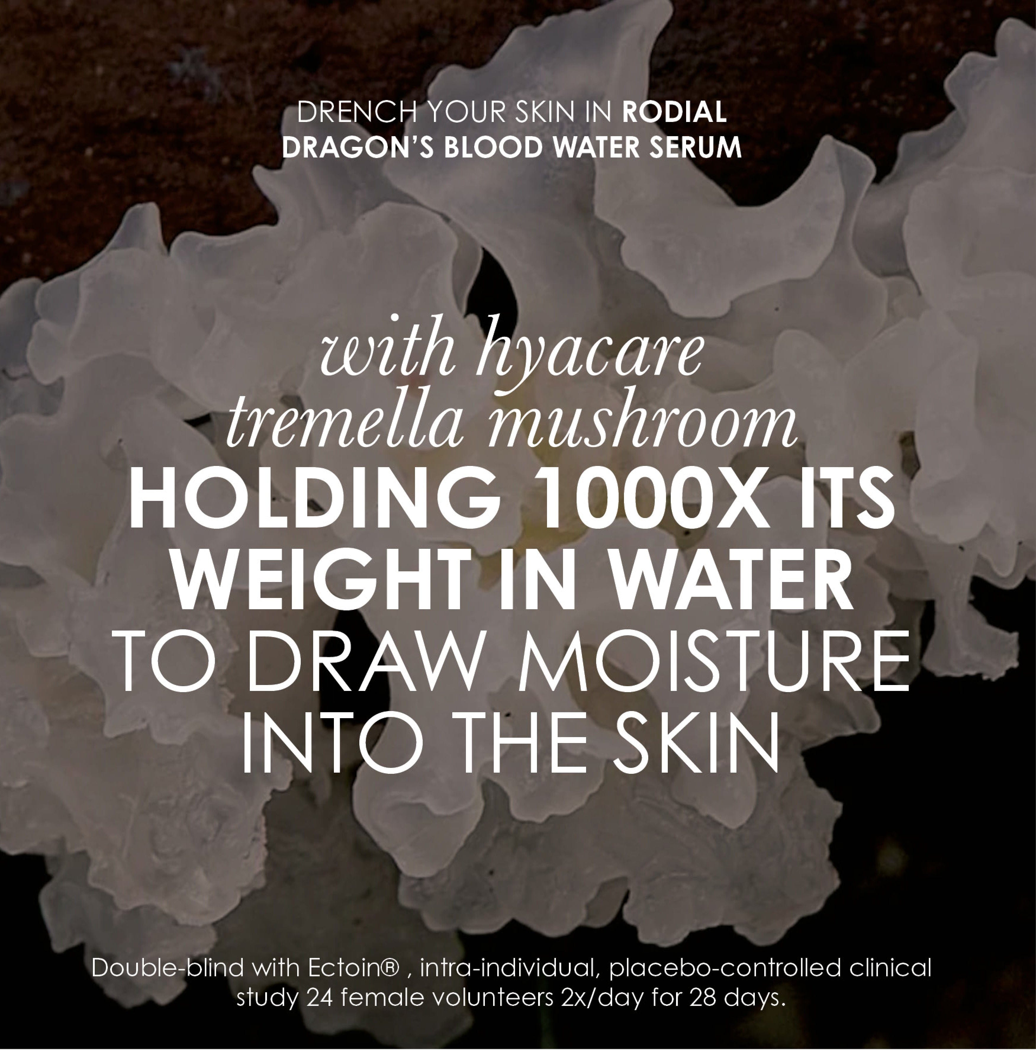 Rodial Dragon's Blood Water Serum