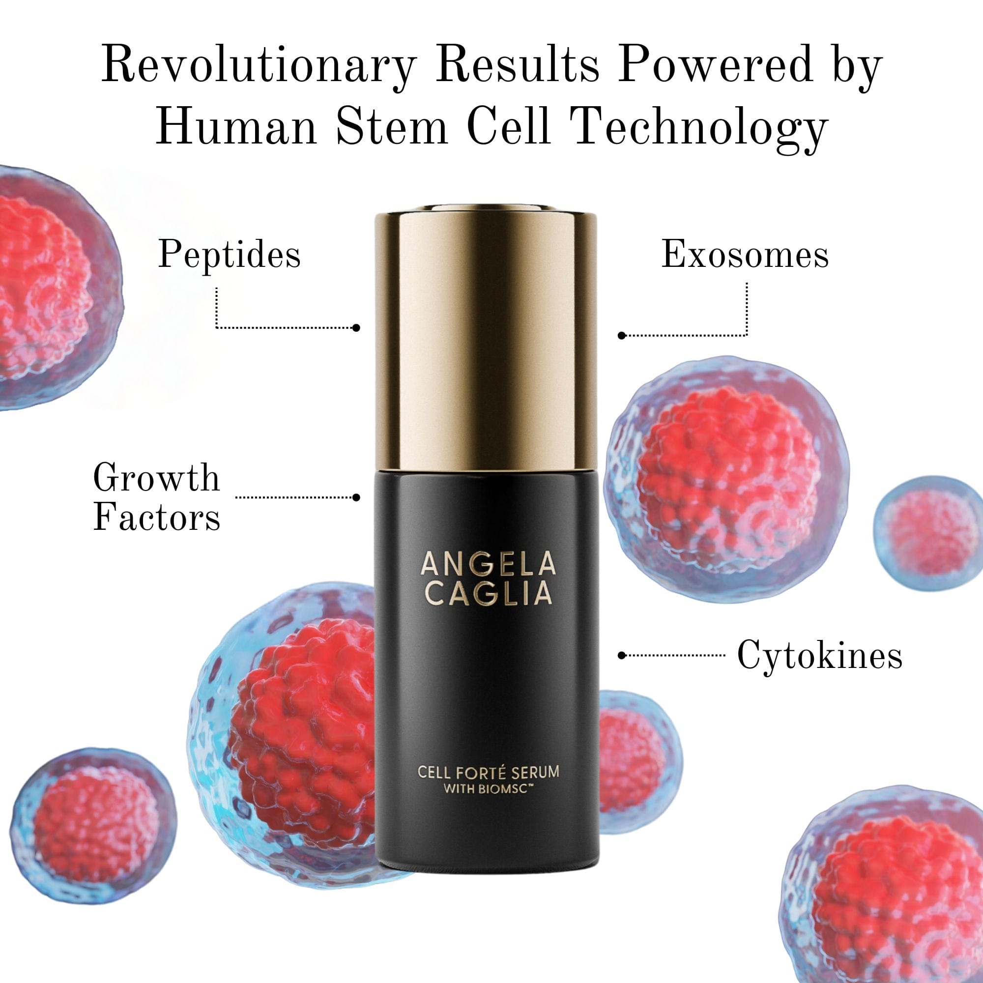 Angela Caglia Skincare Cell Forté Serum with BIOMSC™