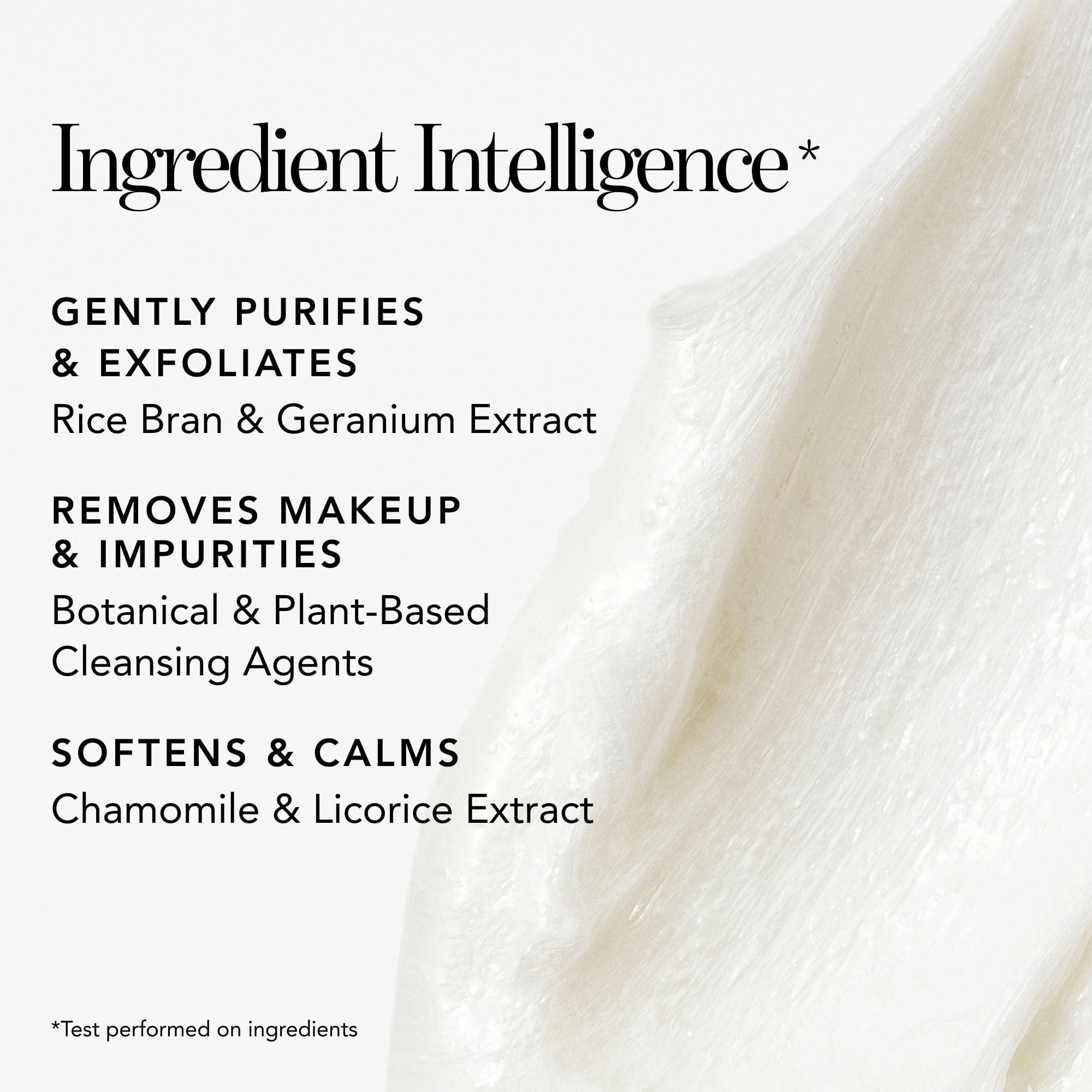 And *Rice and Geranium Foaming Cleanser