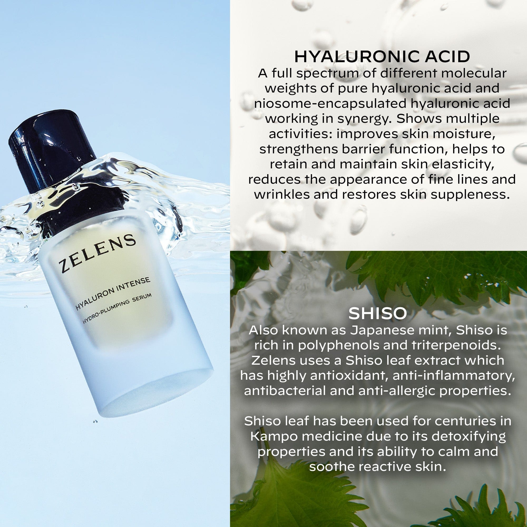 Zelens Hyaluron Intense - Hydro - Plumping Serum