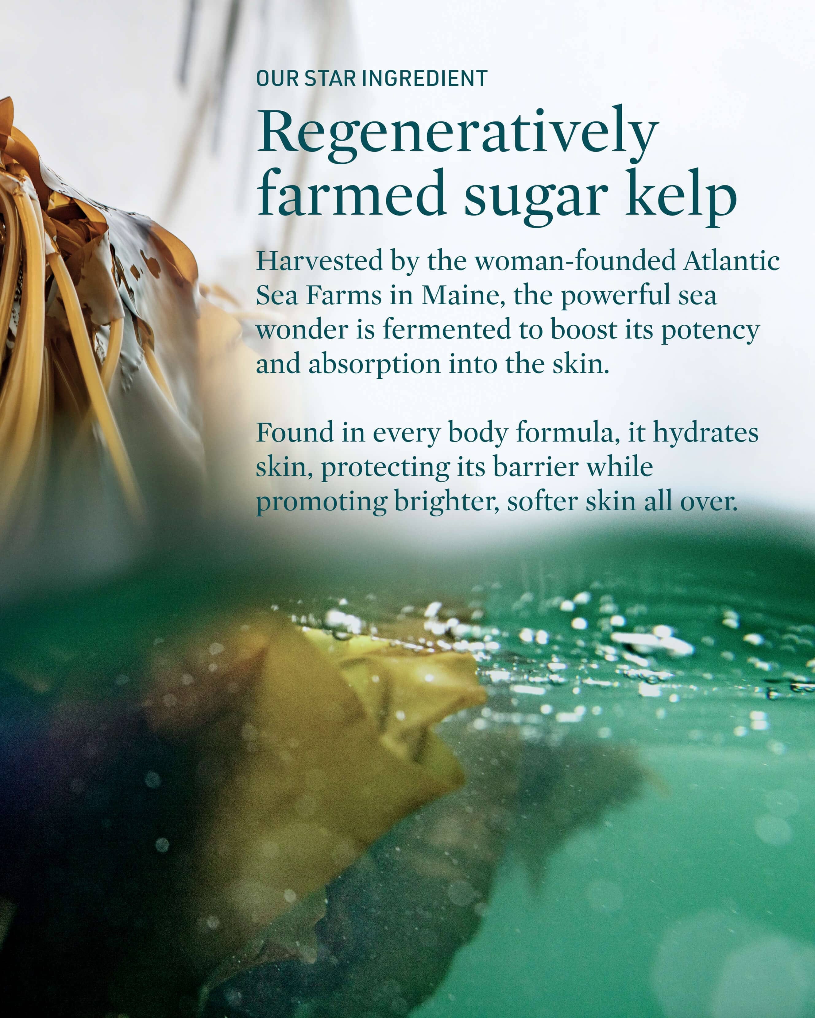 Credo Skincare Serenity Mineral - Rich Body Wash