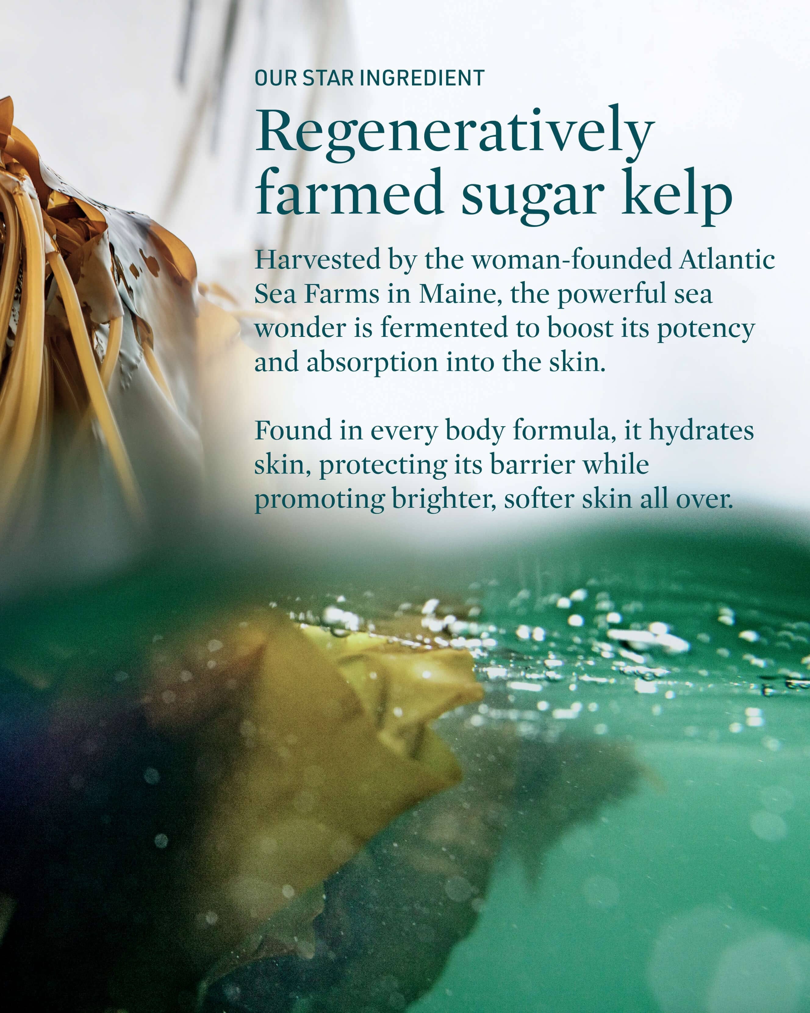 Credo Skincare Submerge Green Algae Body Cream