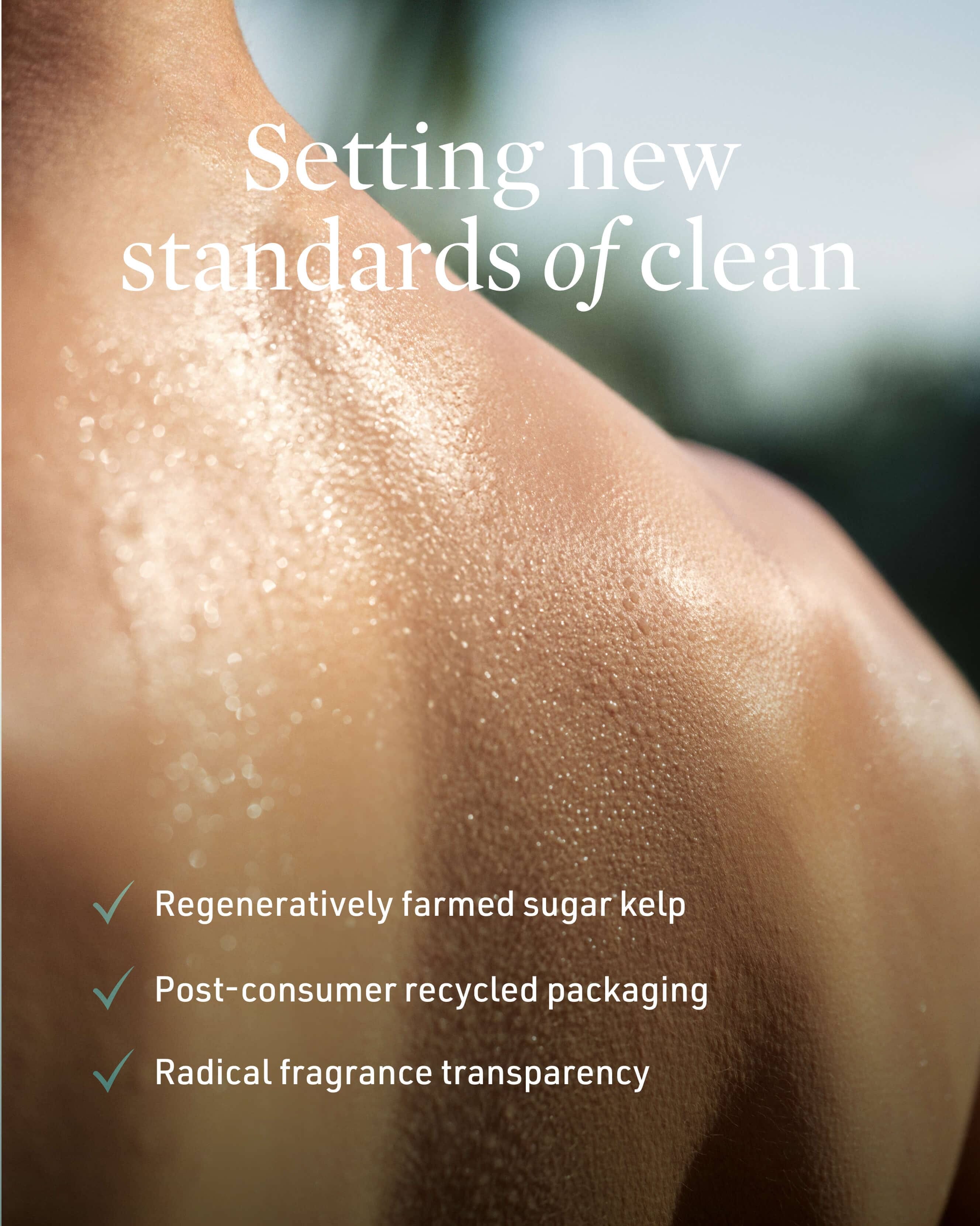 Credo Skincare The Complete Ceremony Body Set