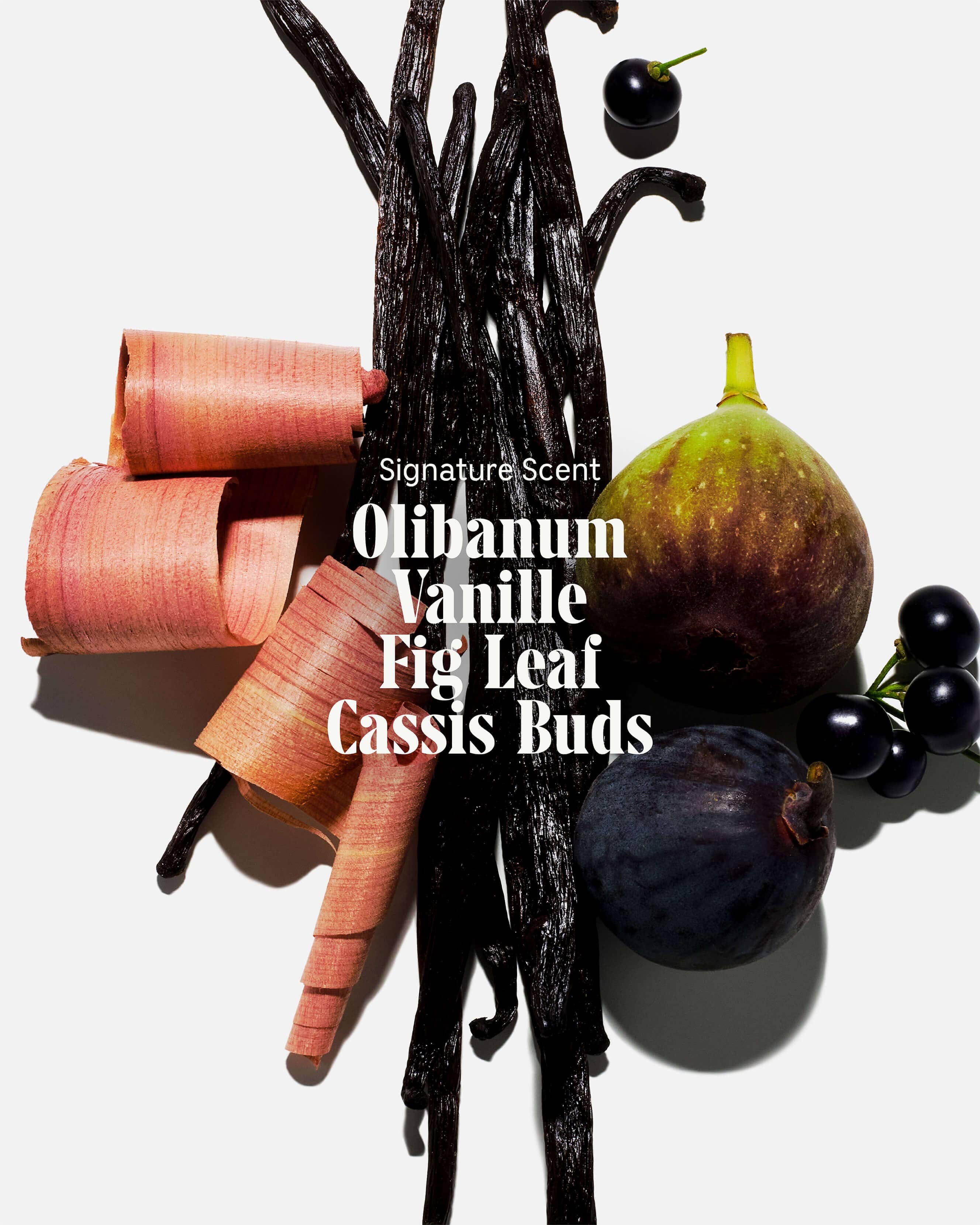 Nécessaire The Body Wash Olibanum