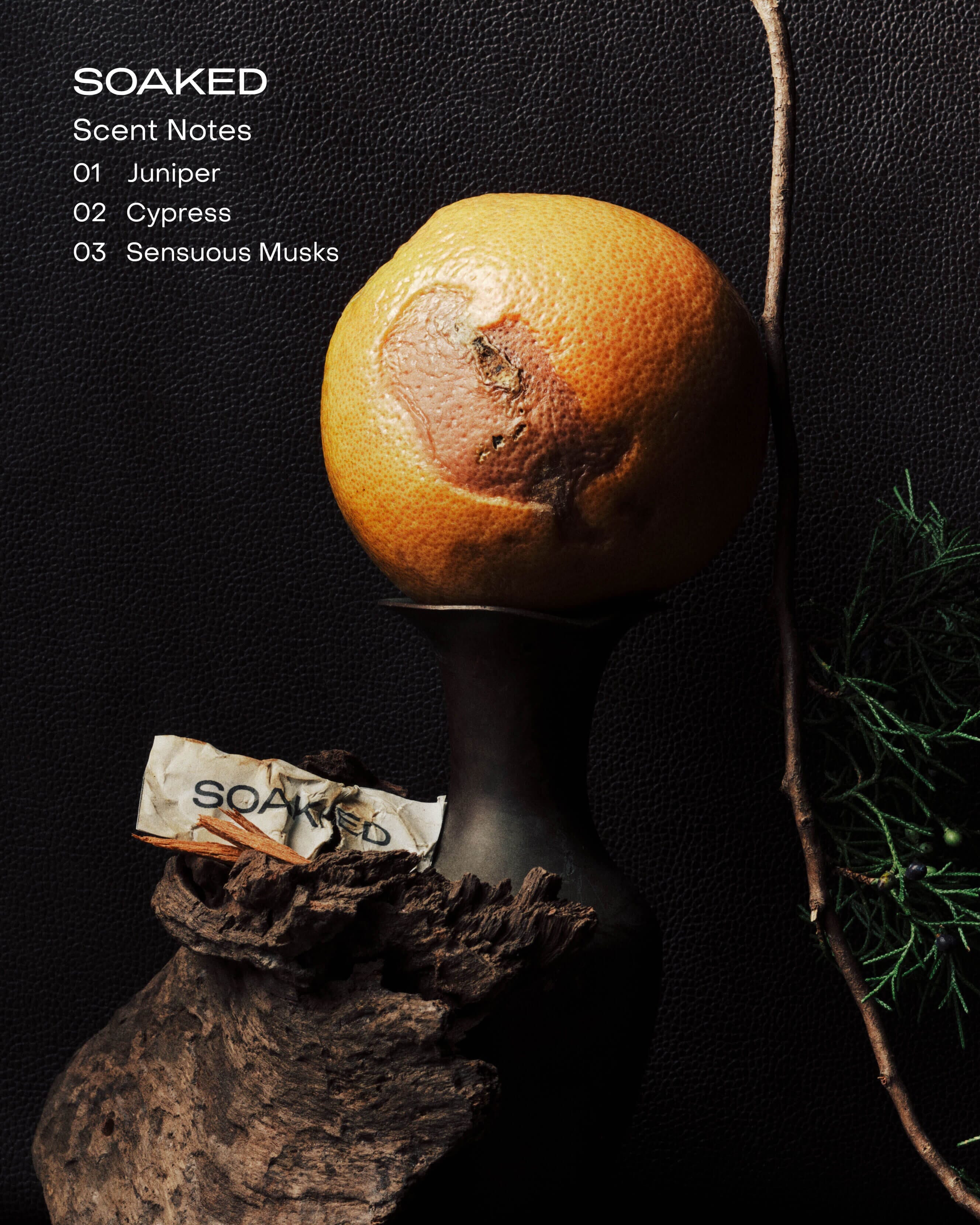 SIDIA SOAKED: The Hand & Body Wash