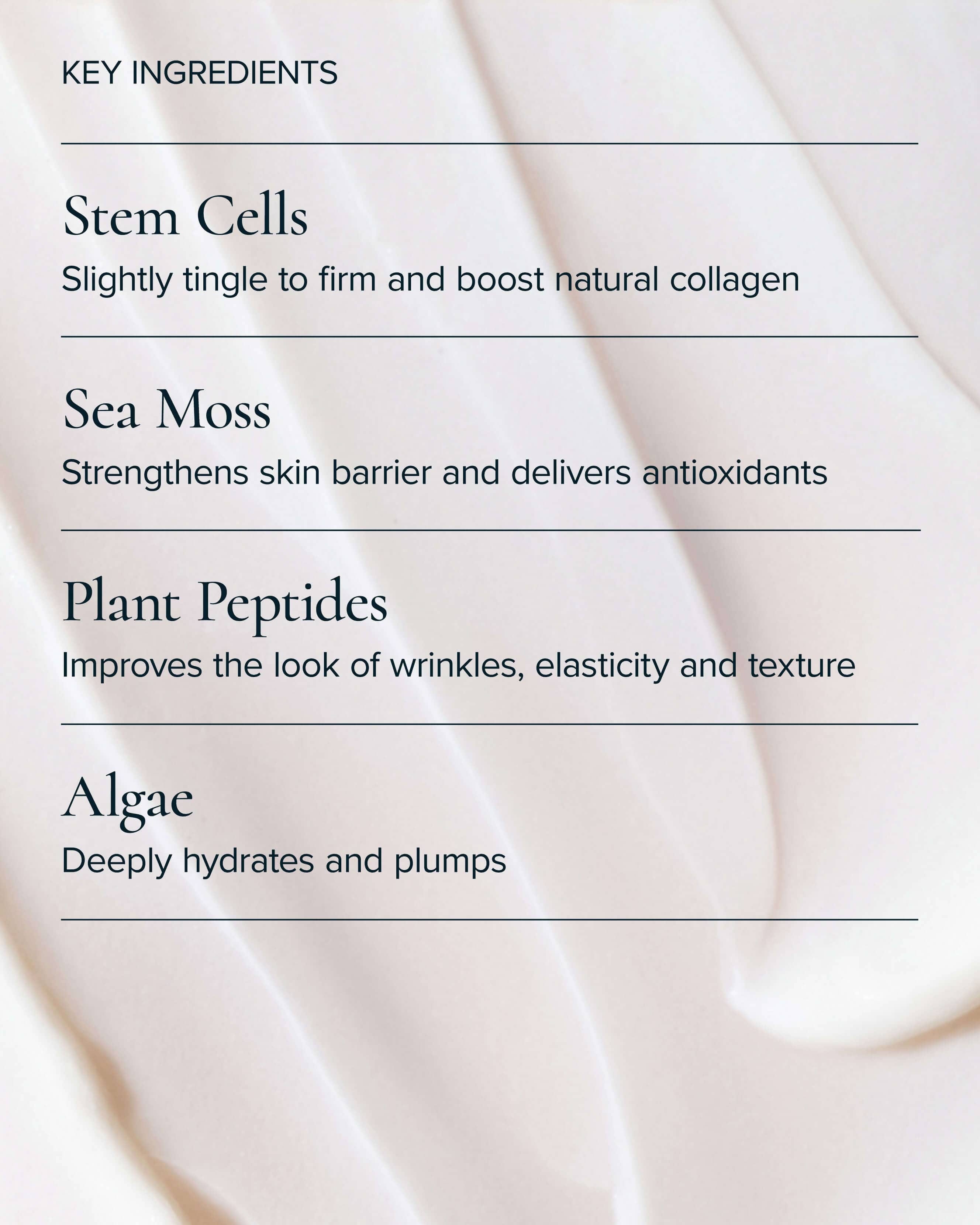 MARA SeaDream Algae Creme Moisturizer for Firming & Tightening with Sea Moss + Peptides