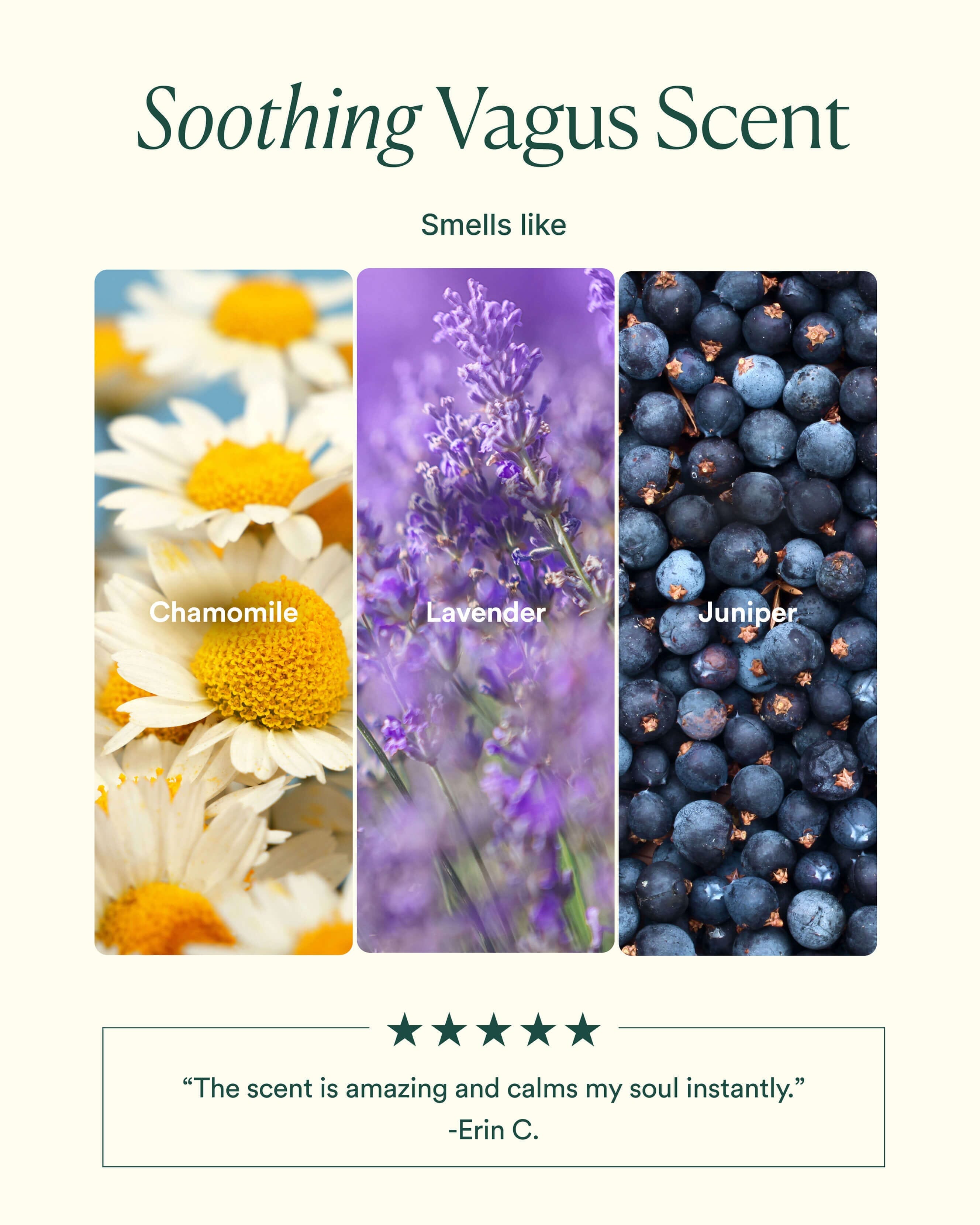 OSEA Vagus Nerve Bath Oil