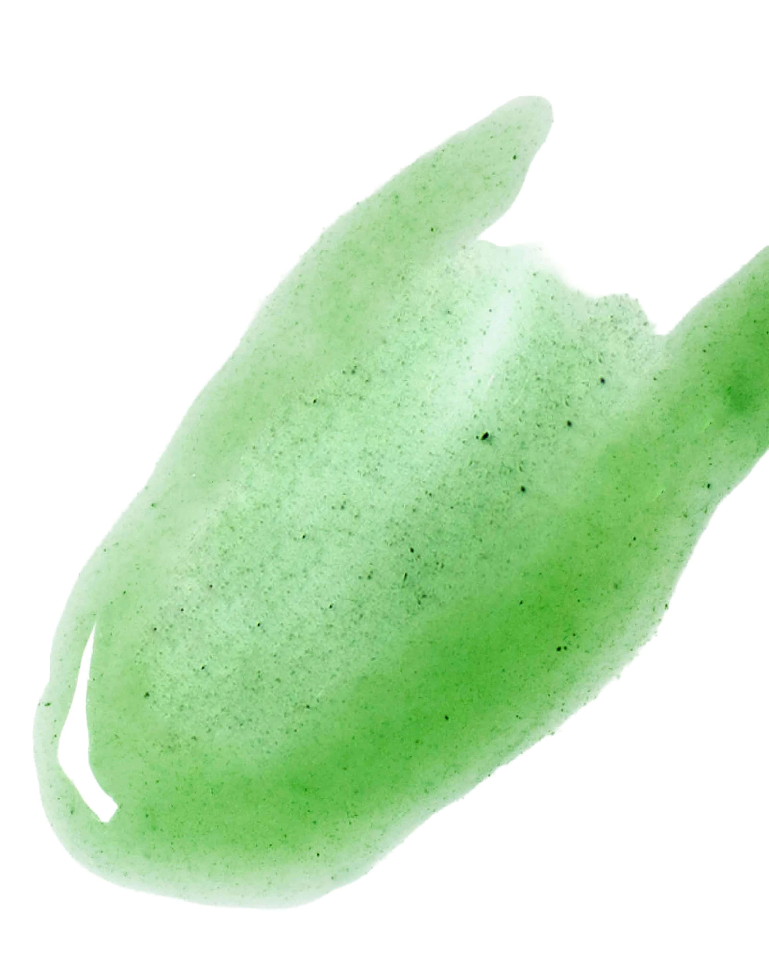Ere Perez Quandong Green Booster Serum