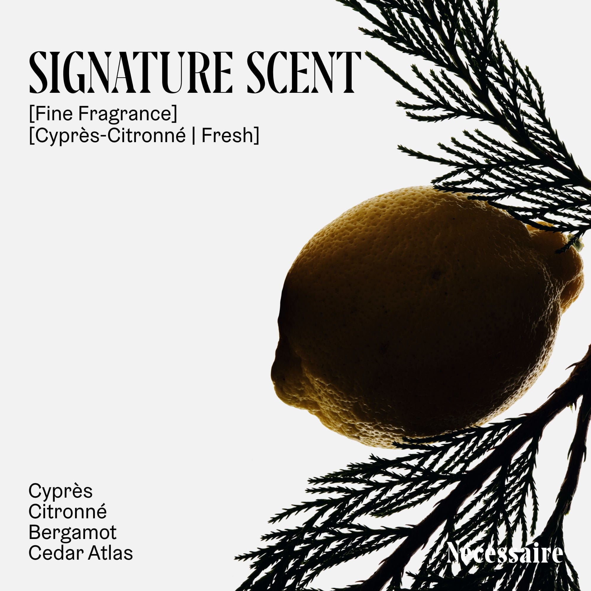 Nécessaire The Body Wash Cyprès - Citronné