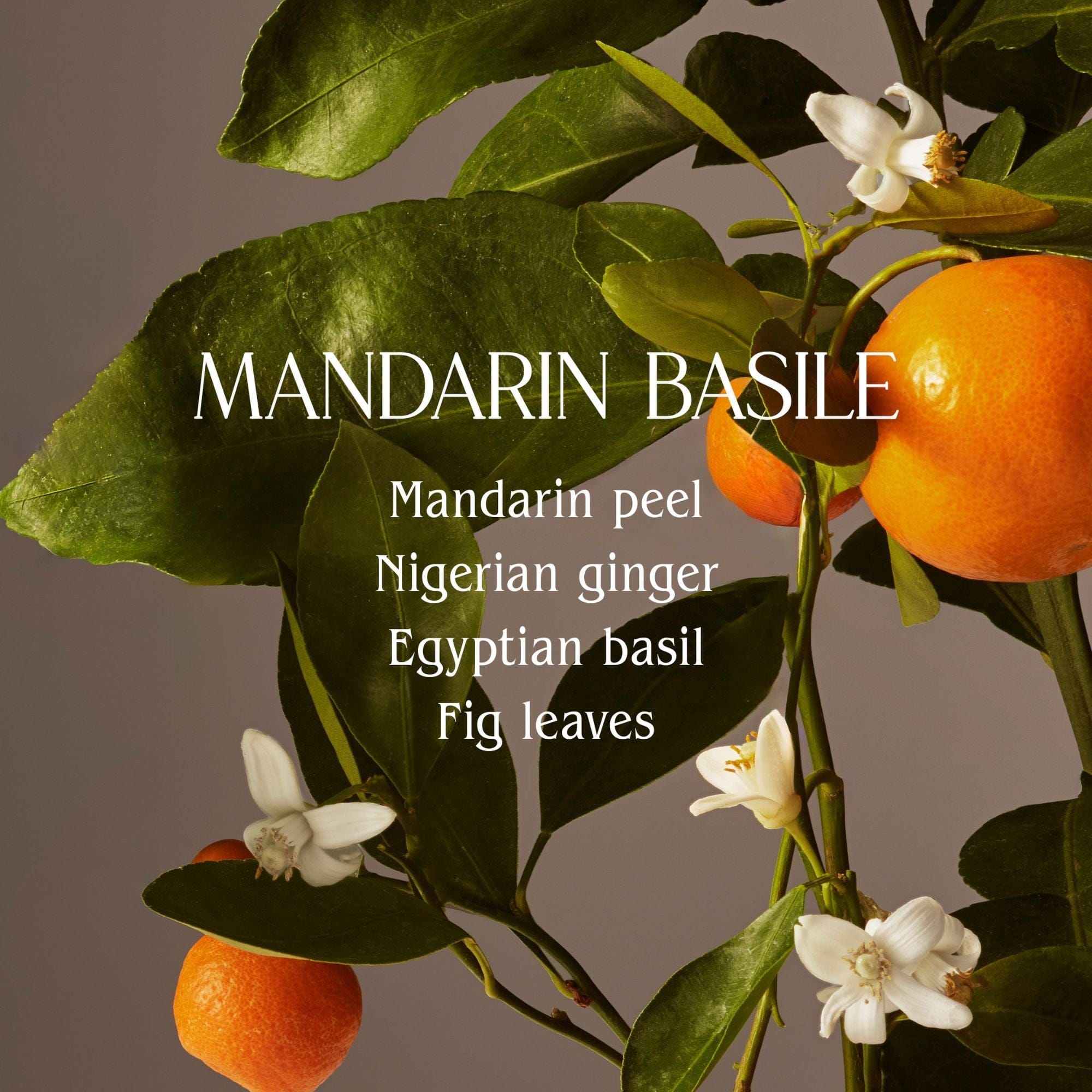 Homecourt Mandarin Basile Room Deodorant