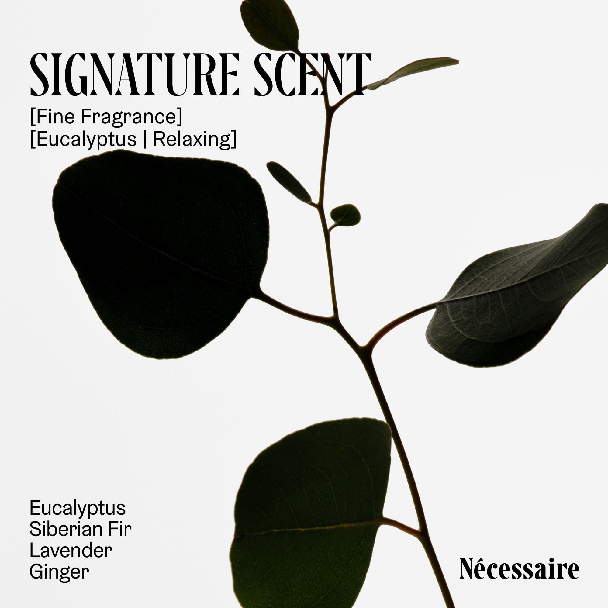 Nécessaire The Body Exfoliator Eucalyptus