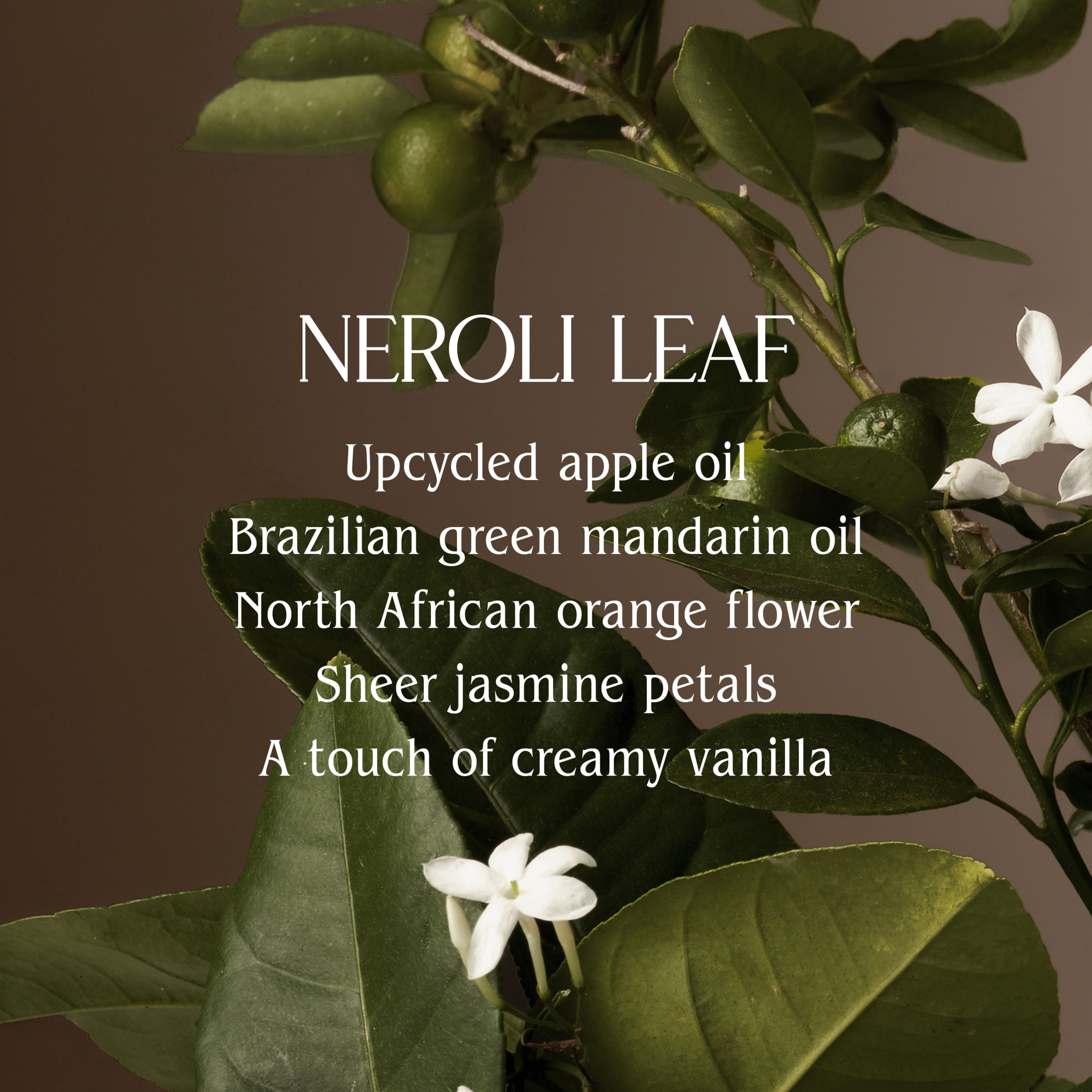 Homecourt Neroli Leaf Room Deodorant