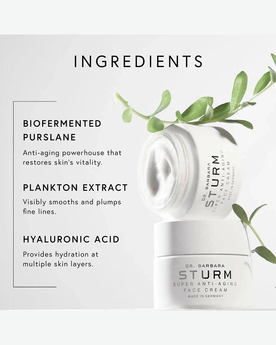 DR. Barbara STURM Super Anti - Aging Face Cream